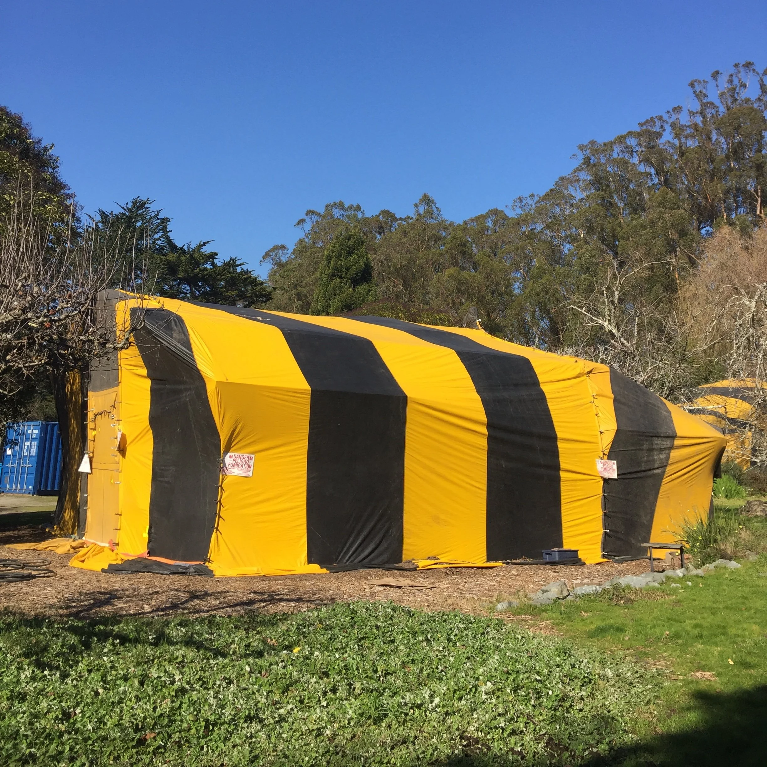 Critical Repairs Begin at CLAM’s New Age-In-Place Home