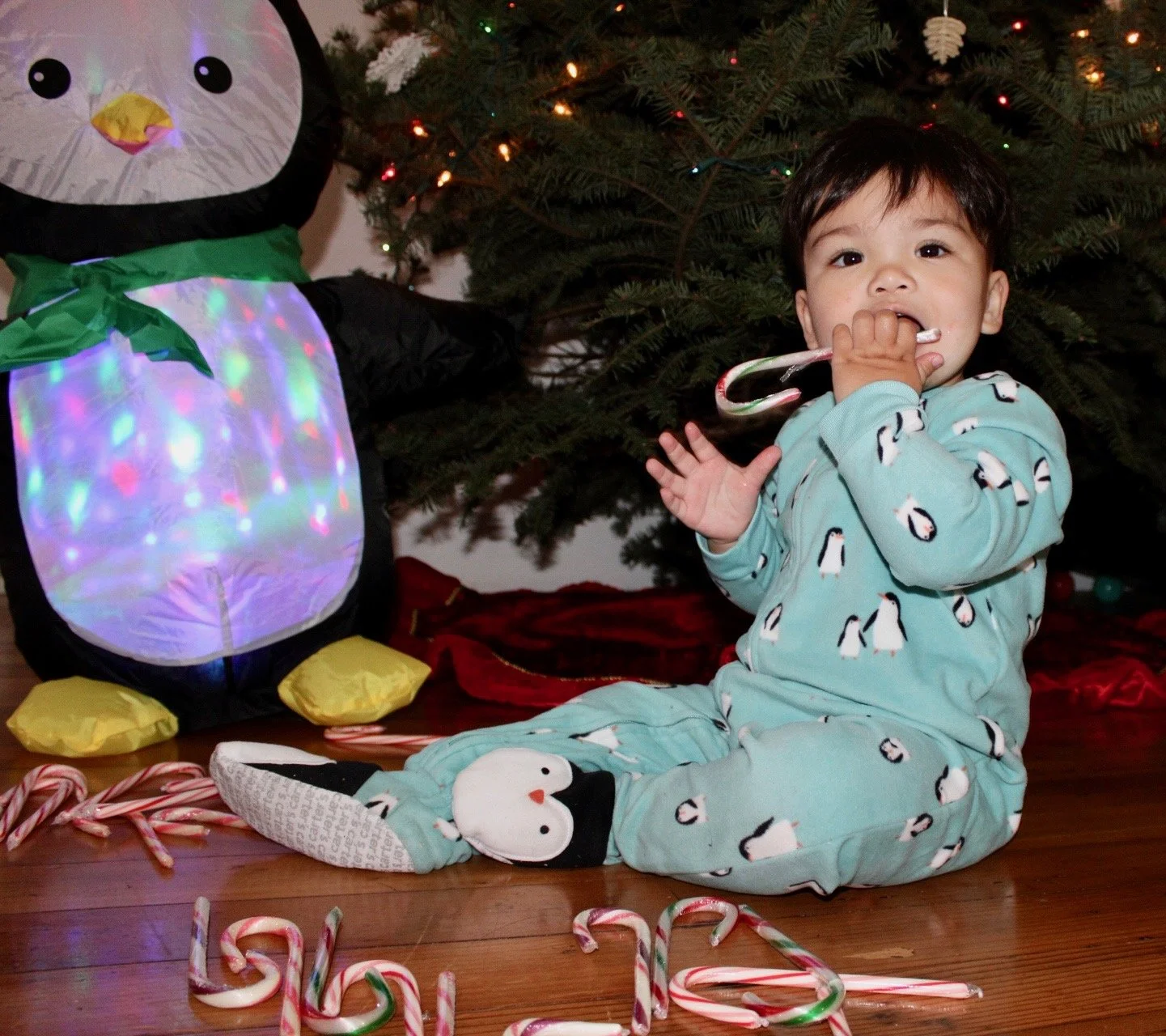 January 2025 CLAMbites 