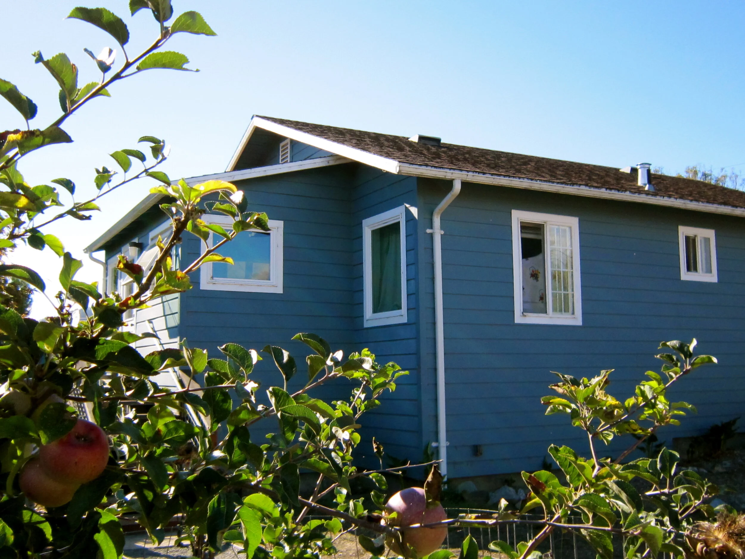 Highway 1 | Point Reyes Station