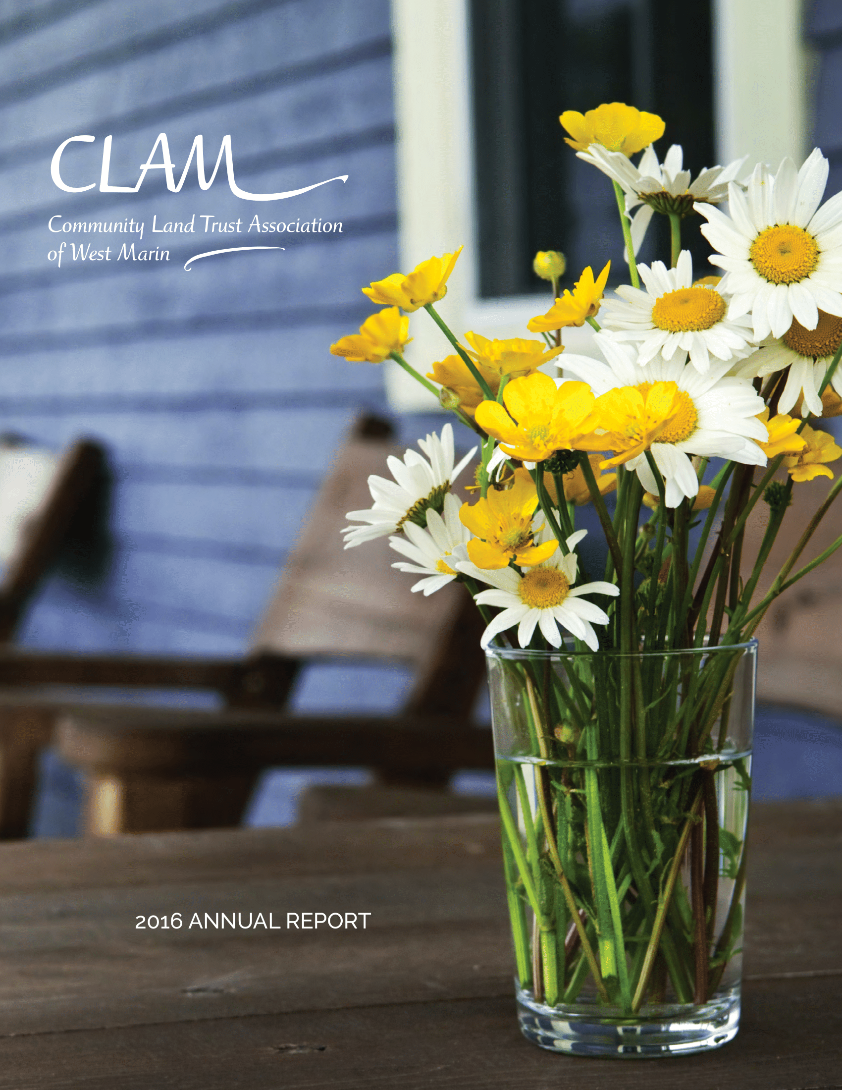 CLAM-2016-Annual-Report-1.png