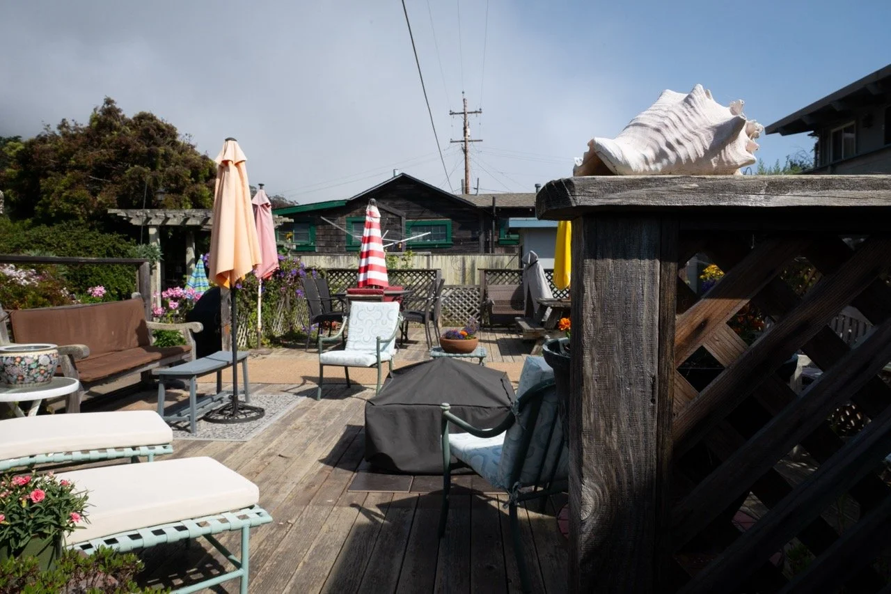 20250816 CLAM jbl 0931 Large.jpeg