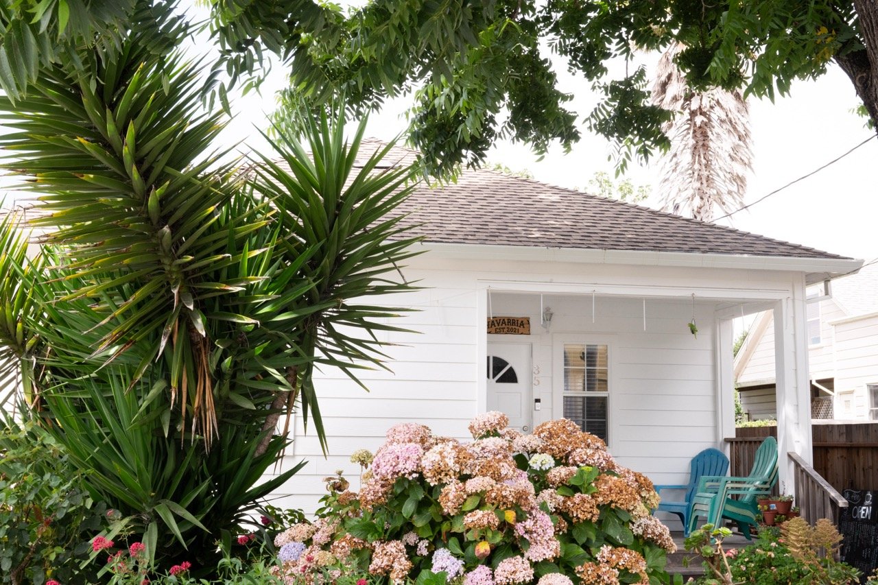 20250816 CLAM jbl 0641 Large.jpeg