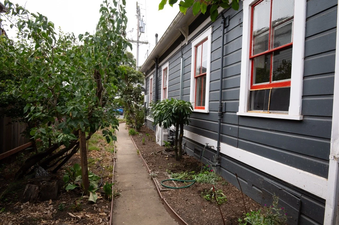 20250816 CLAM jbl 0096 Large.jpeg