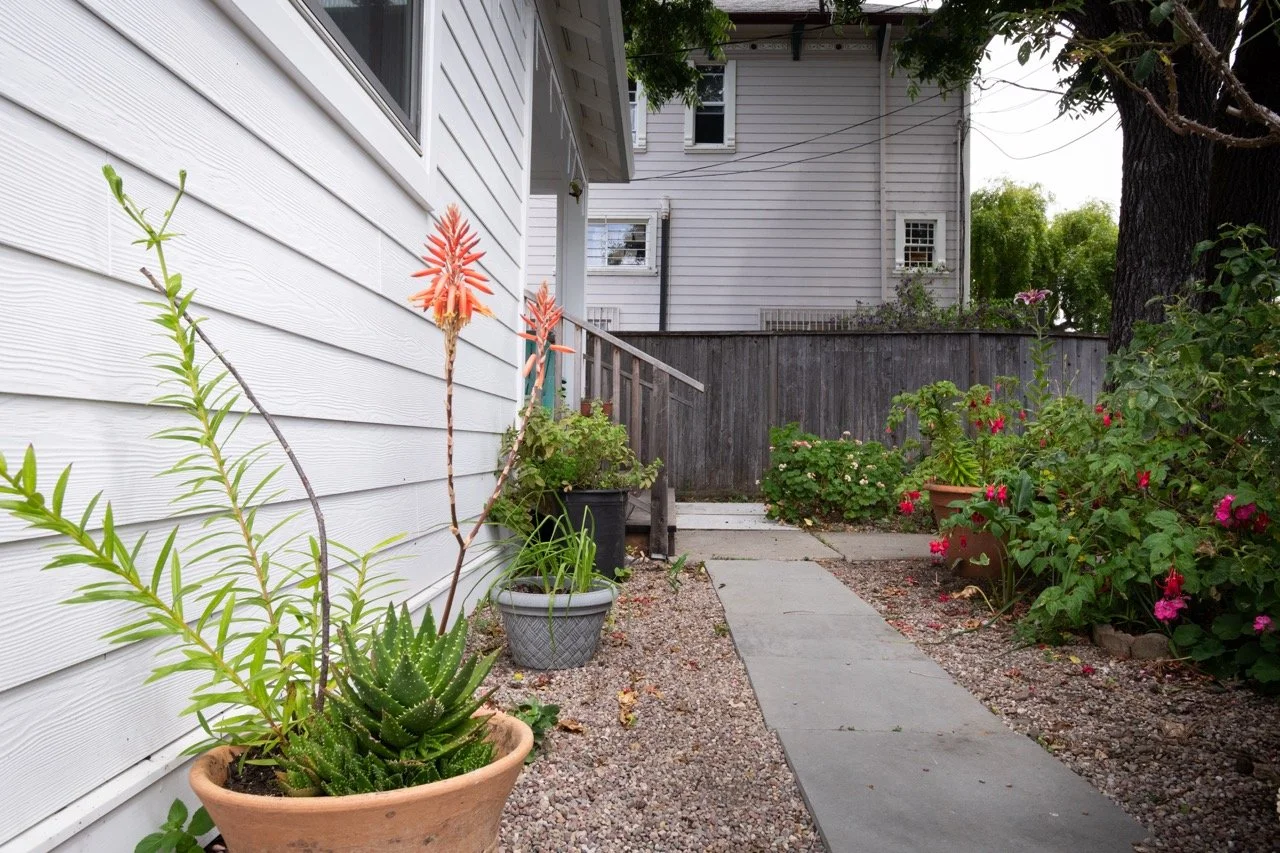 20250816 CLAM jbl 0633 Large.jpeg