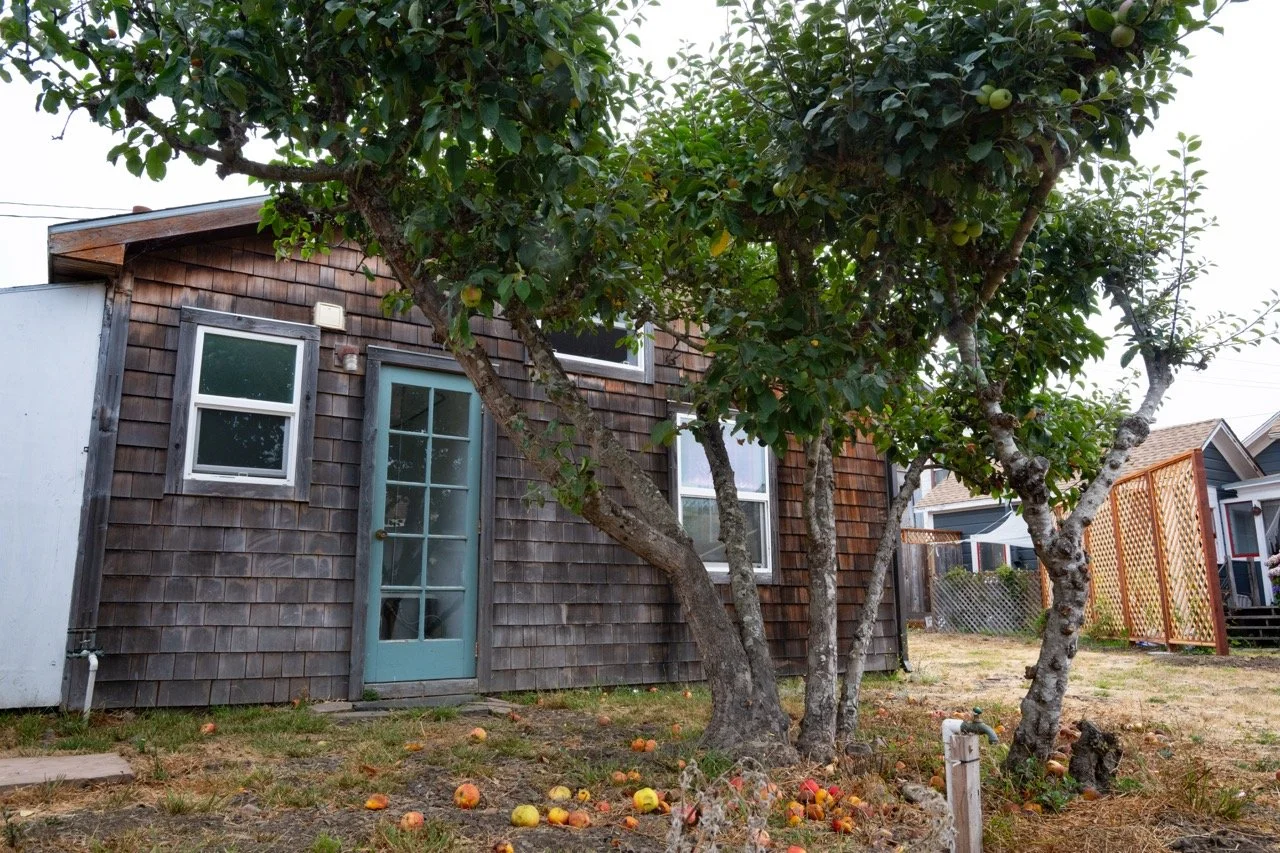 20250816 CLAM jbl 0125 Large.jpeg