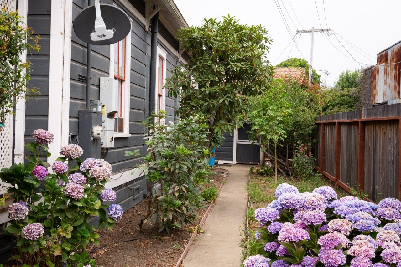 20250816 CLAM jbl 0101 Large.jpeg