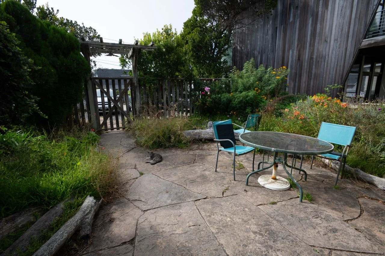 20250816 CLAM jbl 0977 Large.jpeg