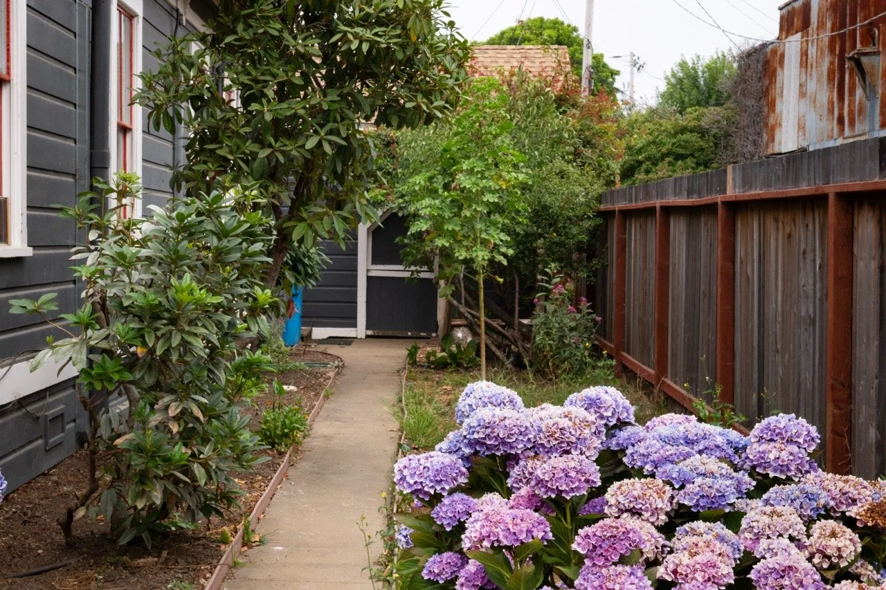 20250816 CLAM jbl 0103 Large.jpeg