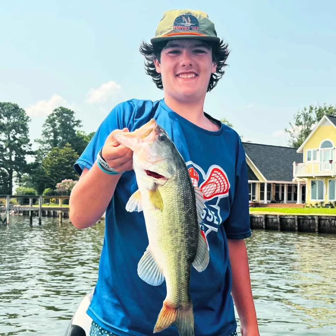 Bass Fishing 2 Camp