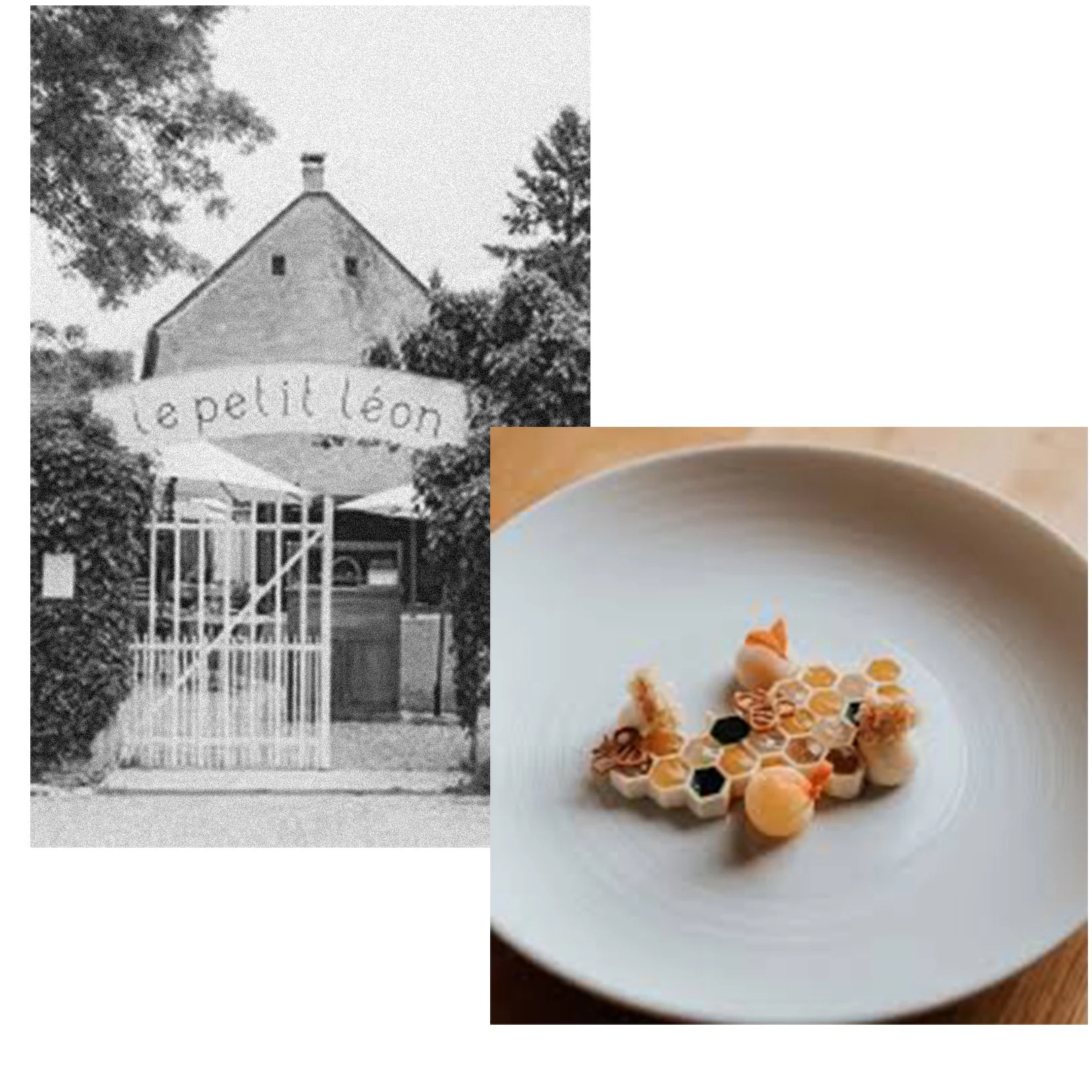 A black and white photo of a house with a sign that says 'le petit lion' and a color photo of a plate with an artistic food presentation that looks like a small animal or insect.