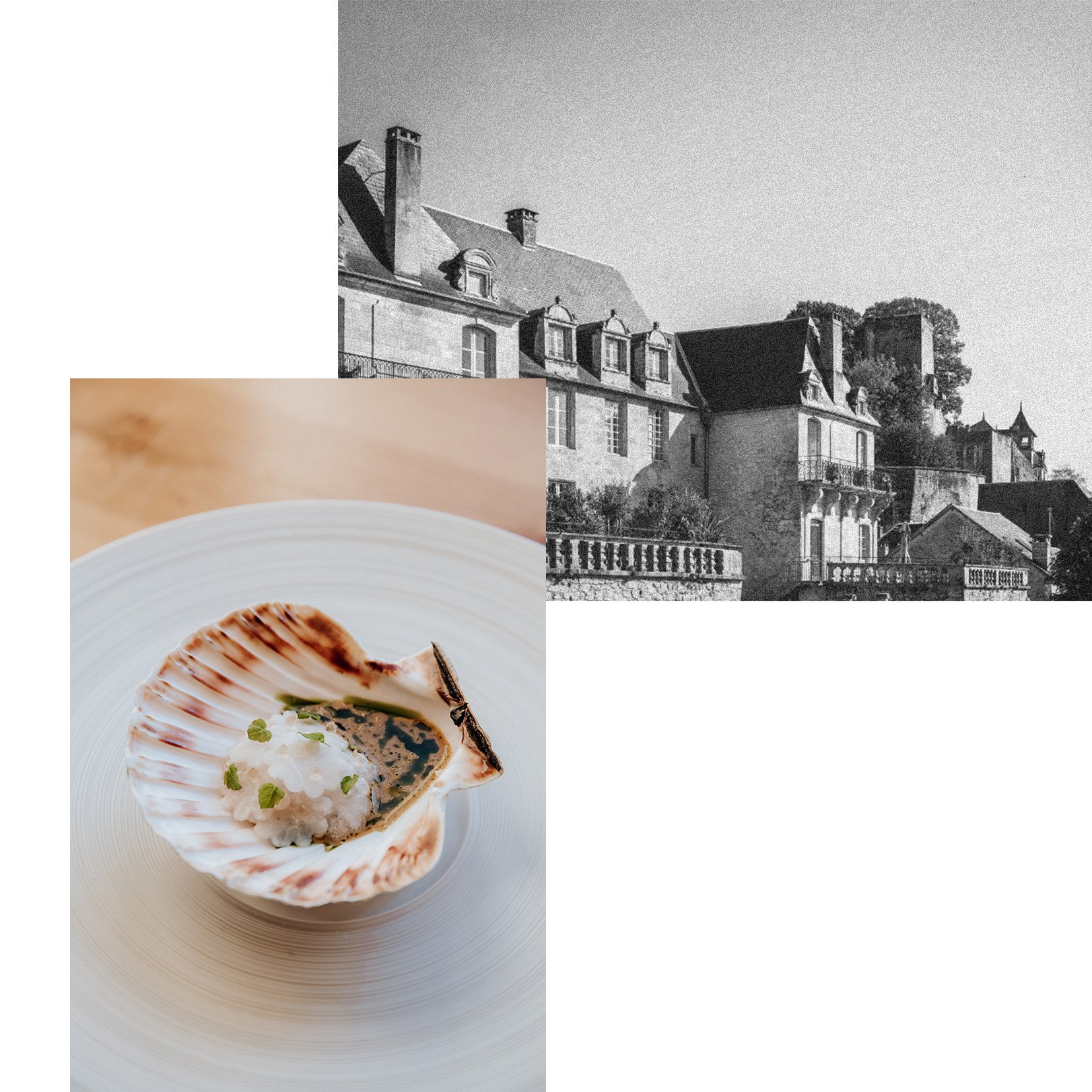 A historical stone mansion with multiple roofs and chimneys, seen in both black and white and color, with a gourmet dish served in a shell-shaped bowl featuring a scallop, garnished with greens.