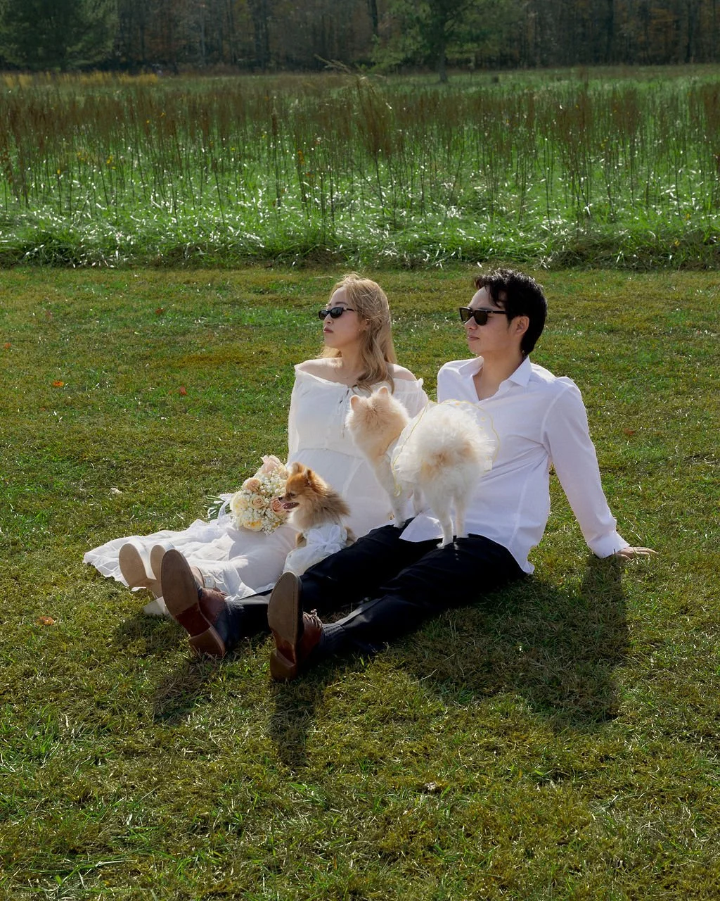 park engagement photography with dogs