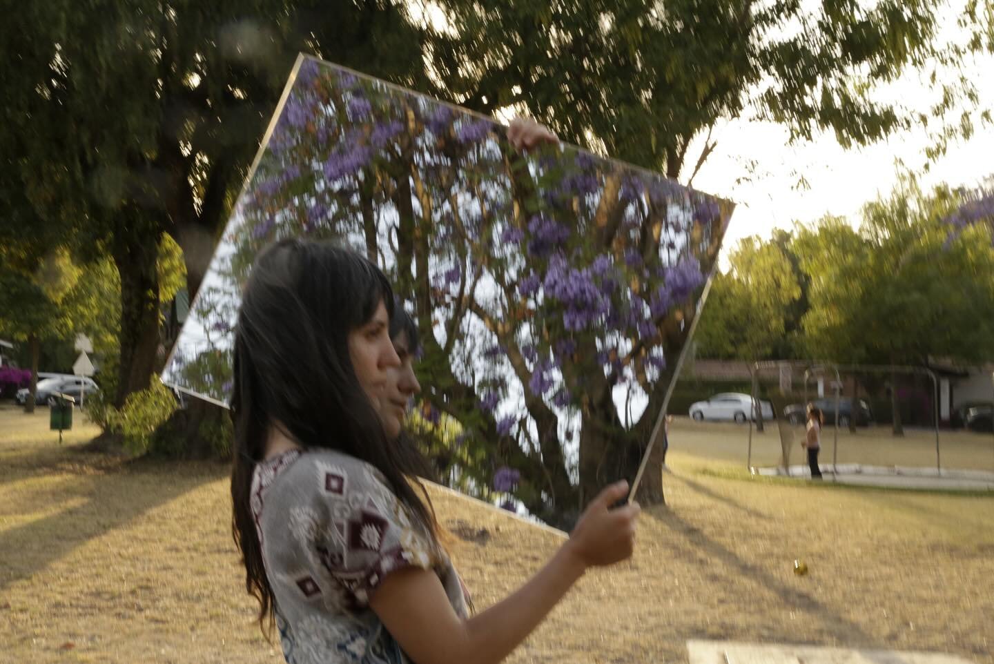El robo de las jacarandas ~

Though jacarandas feel deeply Mexican each spring, their story began far away.
Native to South America, the trees were first brought to Mexico City from Japan in the 19th century. Now, their purple bloom is one of the cit