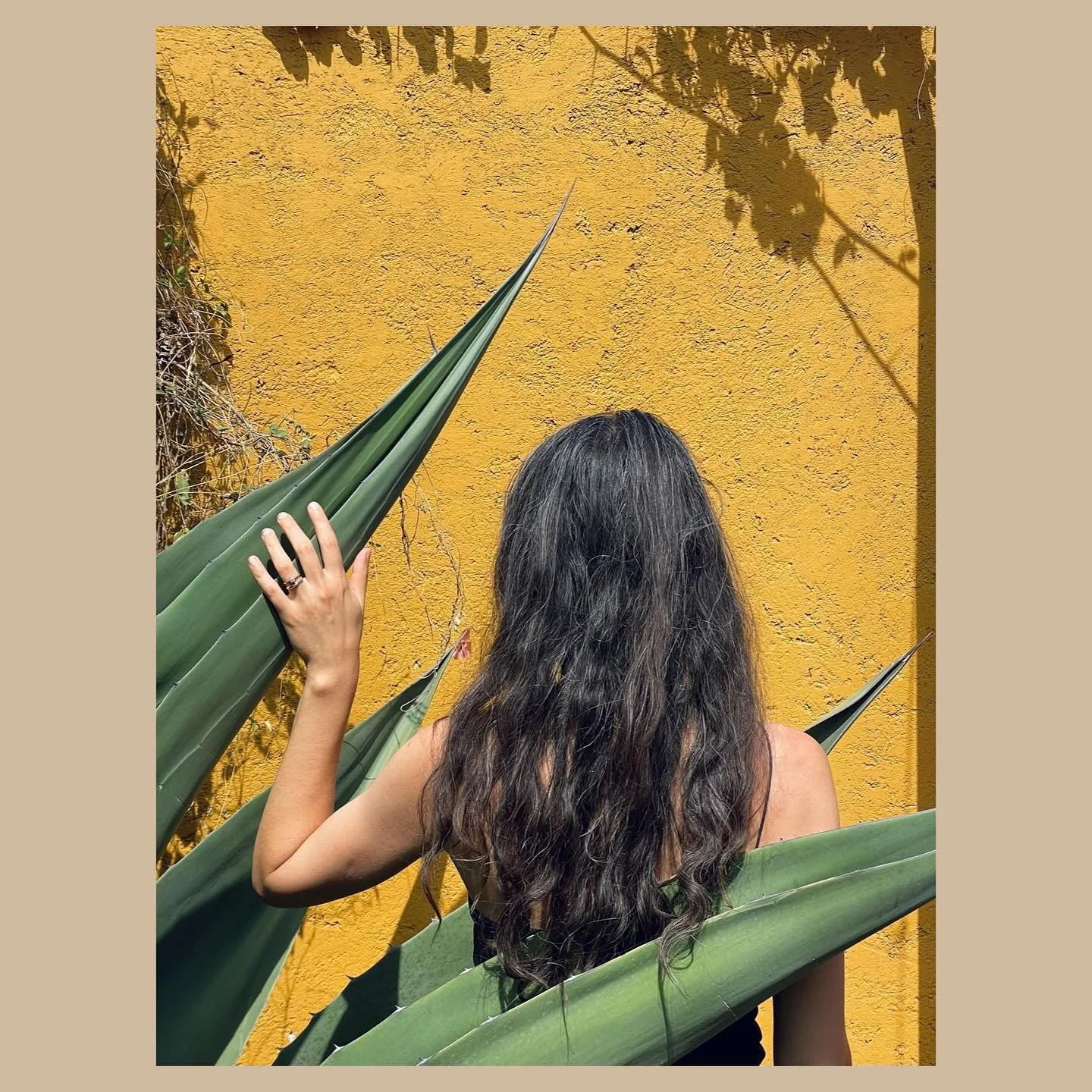 Summer is here ~☀️🌊🐟
An inside of my beauty routine.  Bakuchiol ~ 
While not chemically identical to retinol, bakuchiol is often presented as a natural alternative because it can mimic some of retinol&rsquo;s positive effects on the skin, stimulati