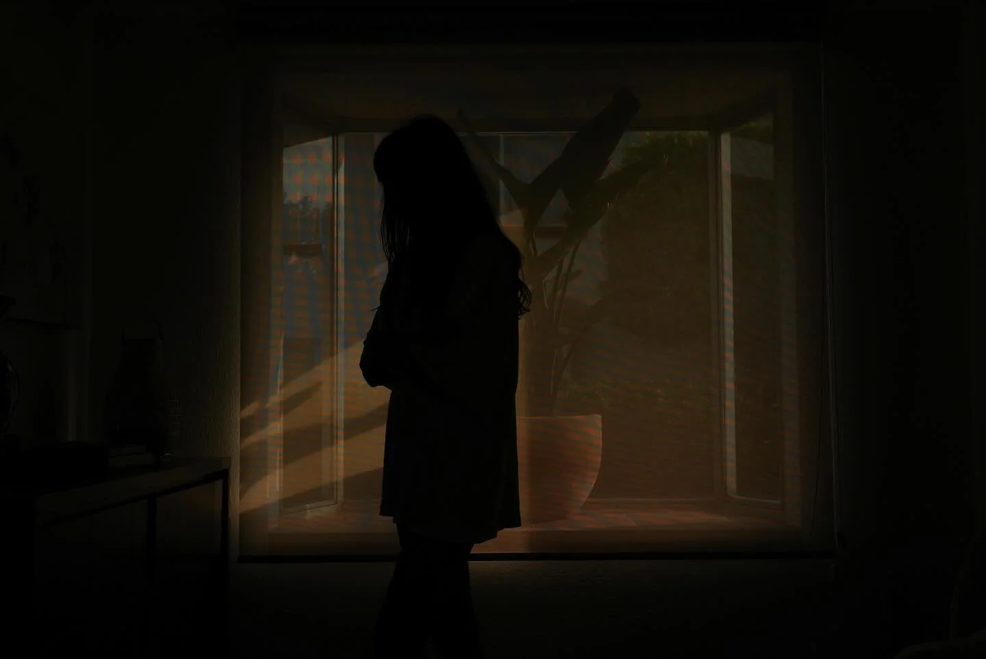 Mexico, 2025 
📸 @metaifan