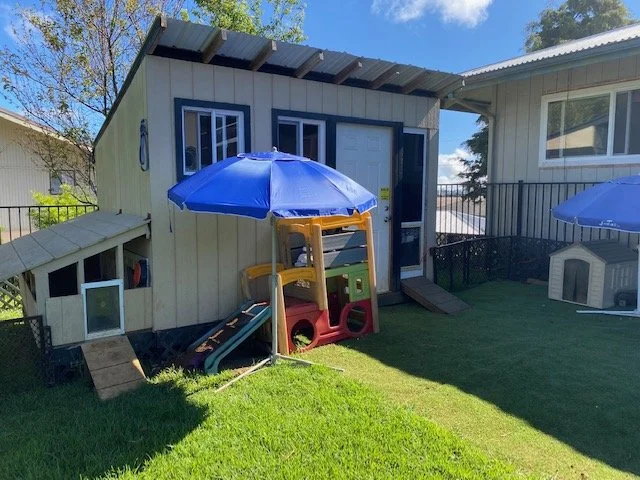 Our puppy house! The Chocolate Nugget Playroom