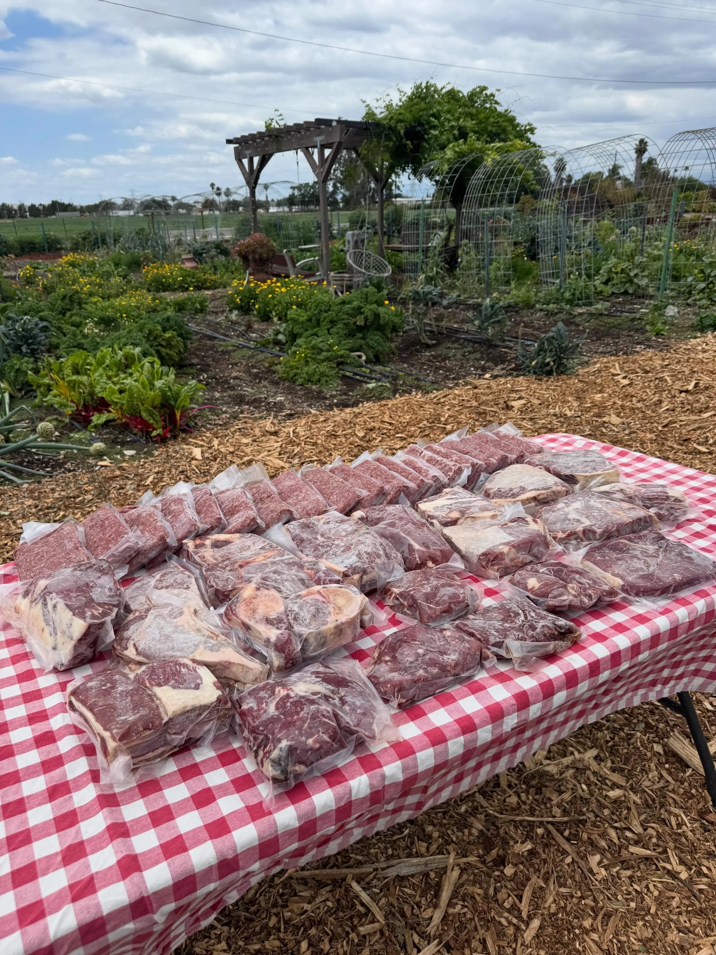 We are selling 1/8th of a cow! Each 1/8th is approximately 100lbs and our price is $7.50 per pound, making the final price $750! Our beef is highly marbled, grass-fed, grass finished, and delicious! All you need to do is DM me that you&rsquo;re inter