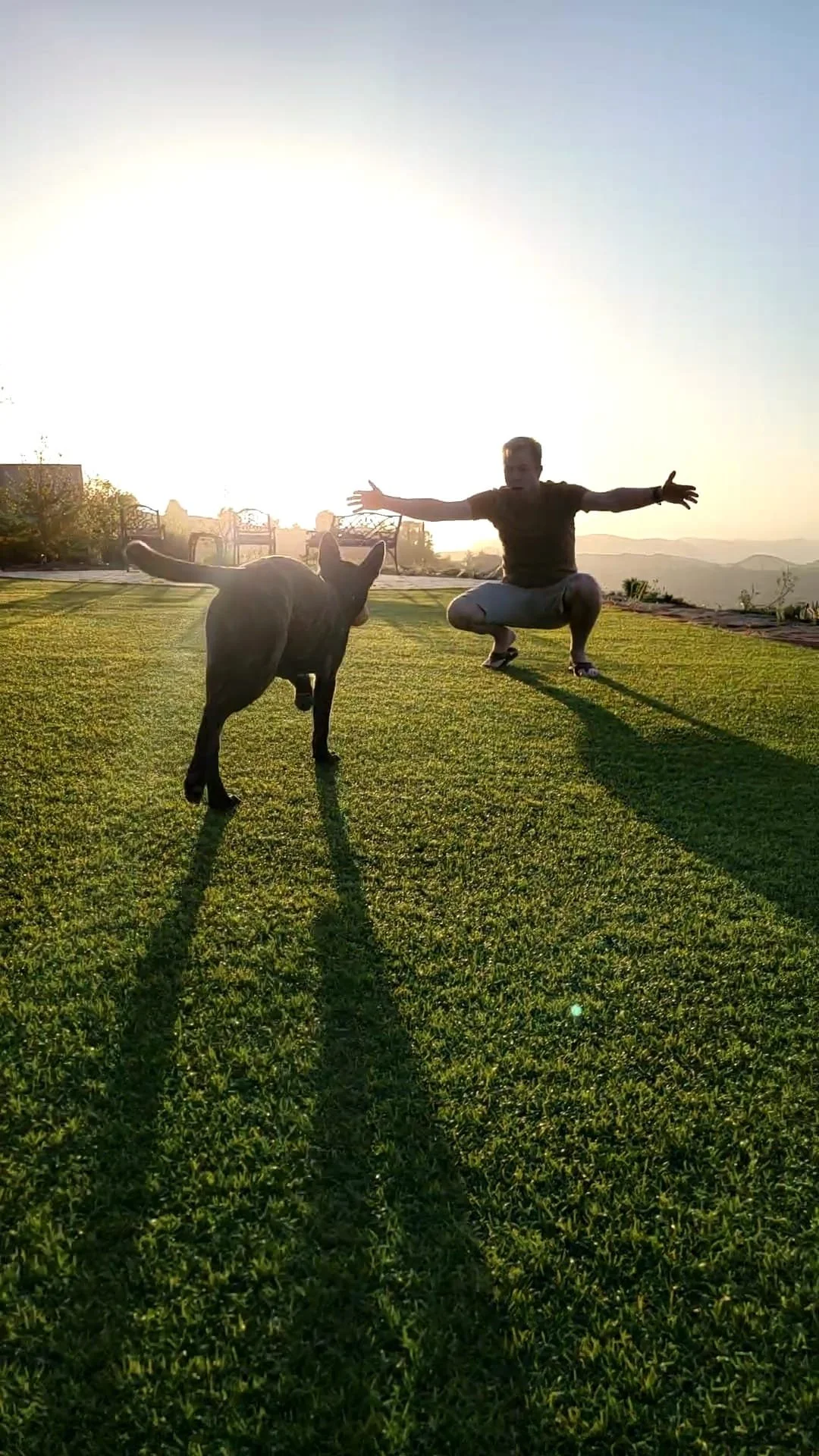 Welcome to Dutch Shepherd News