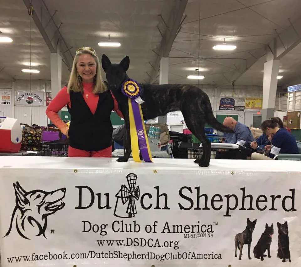 DSDCA Breed &amp; Specialty Events