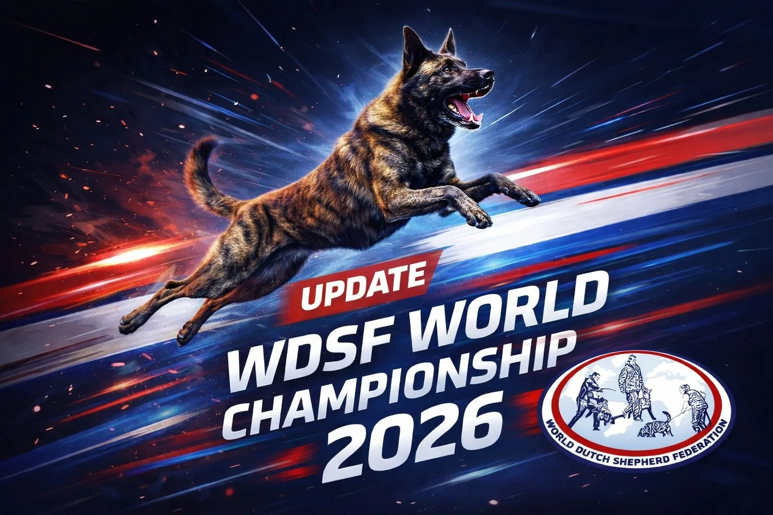 Dutch Shepherds on the World Stage