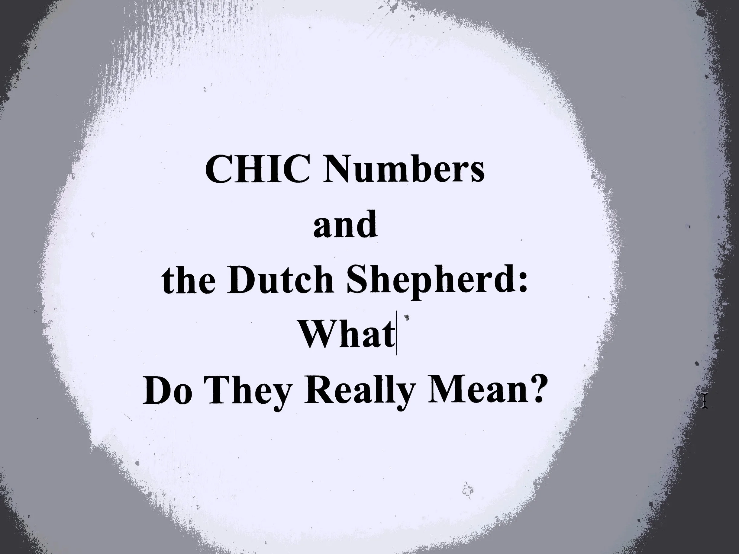 CHIC Numbers and the Dutch Shepherd: What Do They Really Mean?