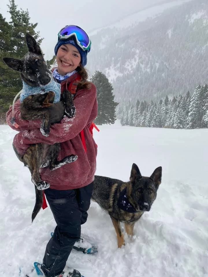 A smiling woman in snow gear holding a small black dog wearing a blue scarf, standing in a snowy landscape with two large dogs, one on the ground and one in her arms, with snow-covered trees and mountains in the background.