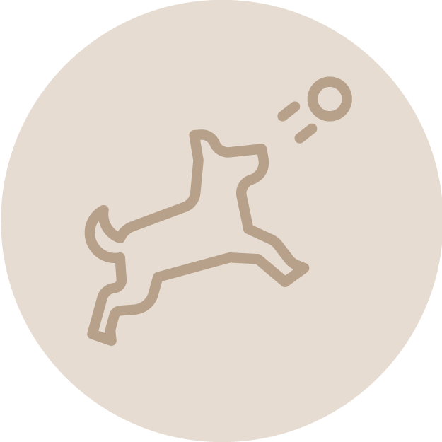 Line drawing of a dog with a circular object above its head.