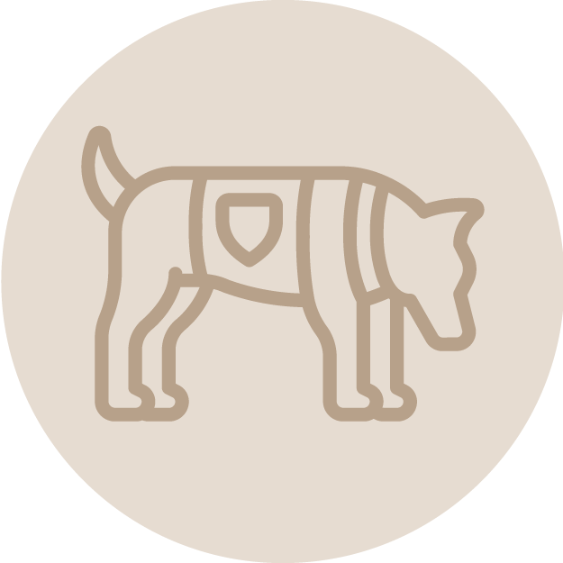 Outline of a dog with a harness on a light beige circular background.