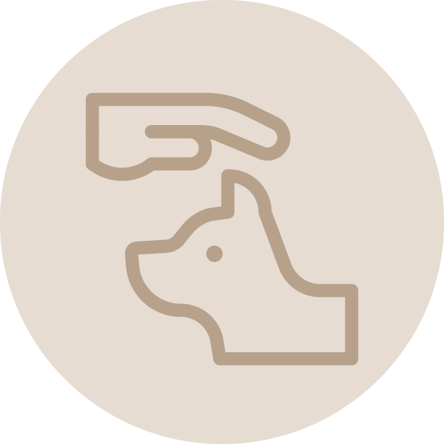 Icon of a hand reaching down towards a dog head, symbolizing pet care or grooming.
