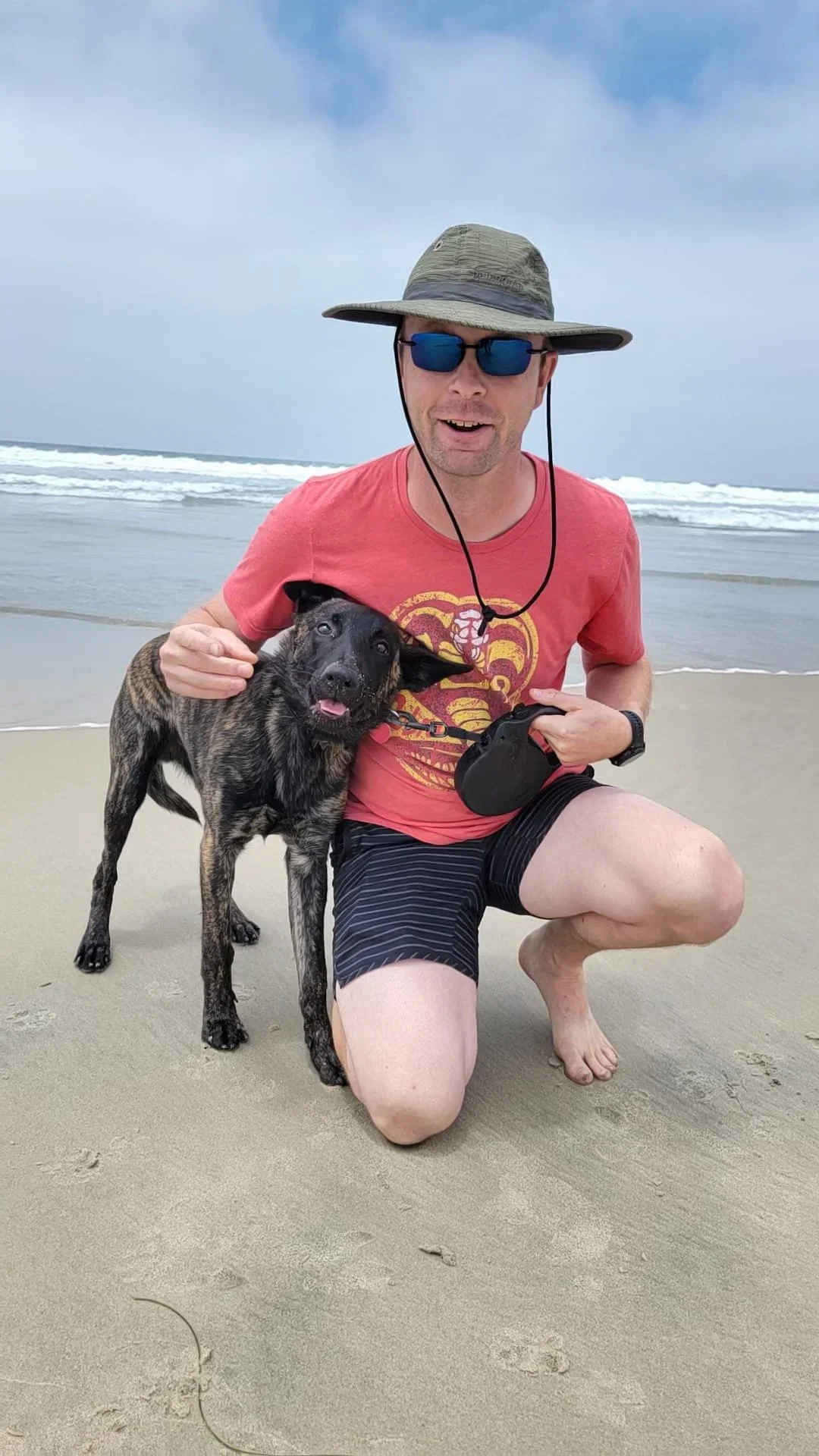 Ambassador puppy