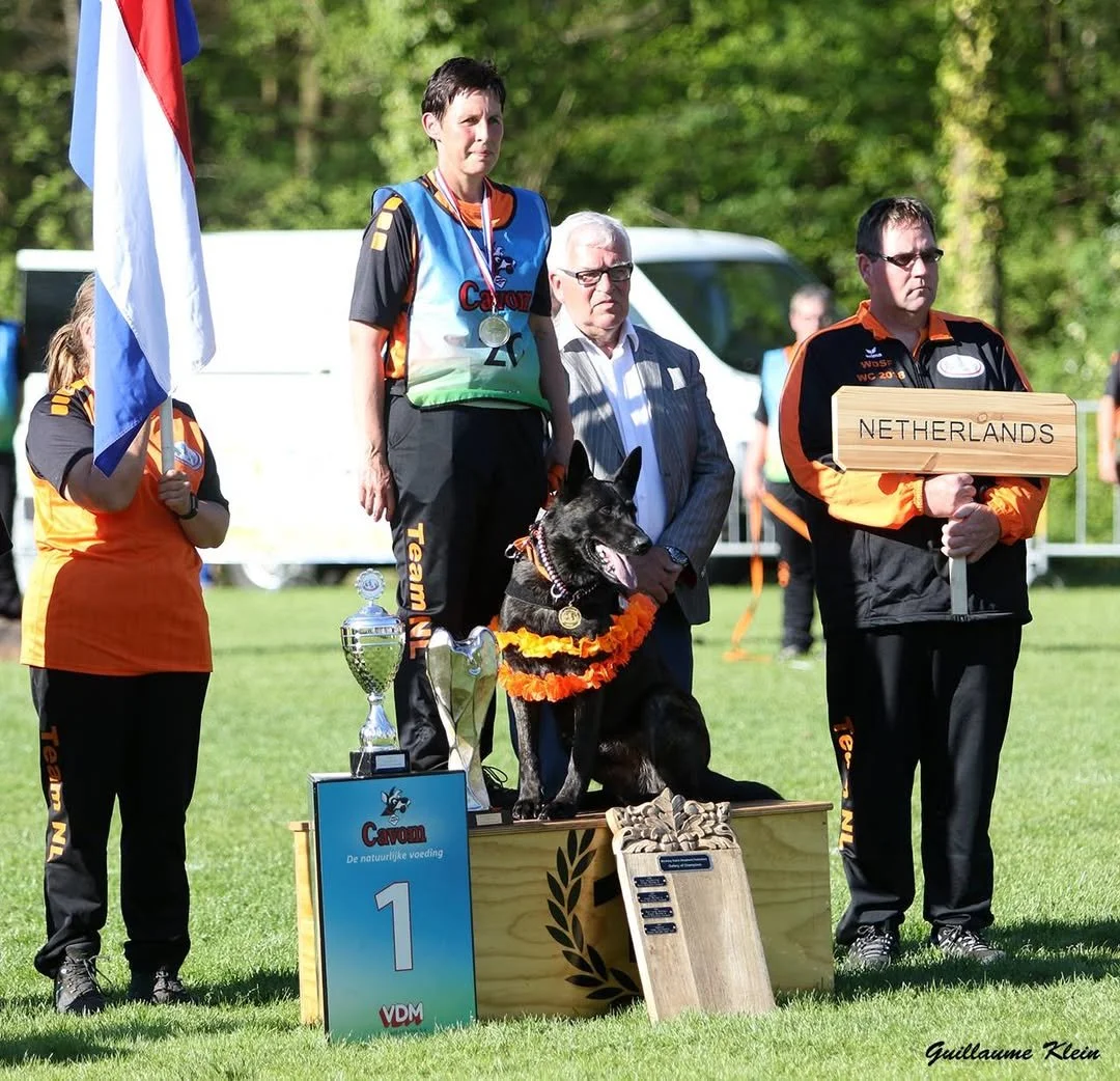 A dog competition award ceremony with a woman on a podium with a black dog wearing an orange lei, a man holding a plaque labeled "NETHERLANDS," a woman holding a Dutch flag, and other officials standing on a grassy field with trees in the background.
