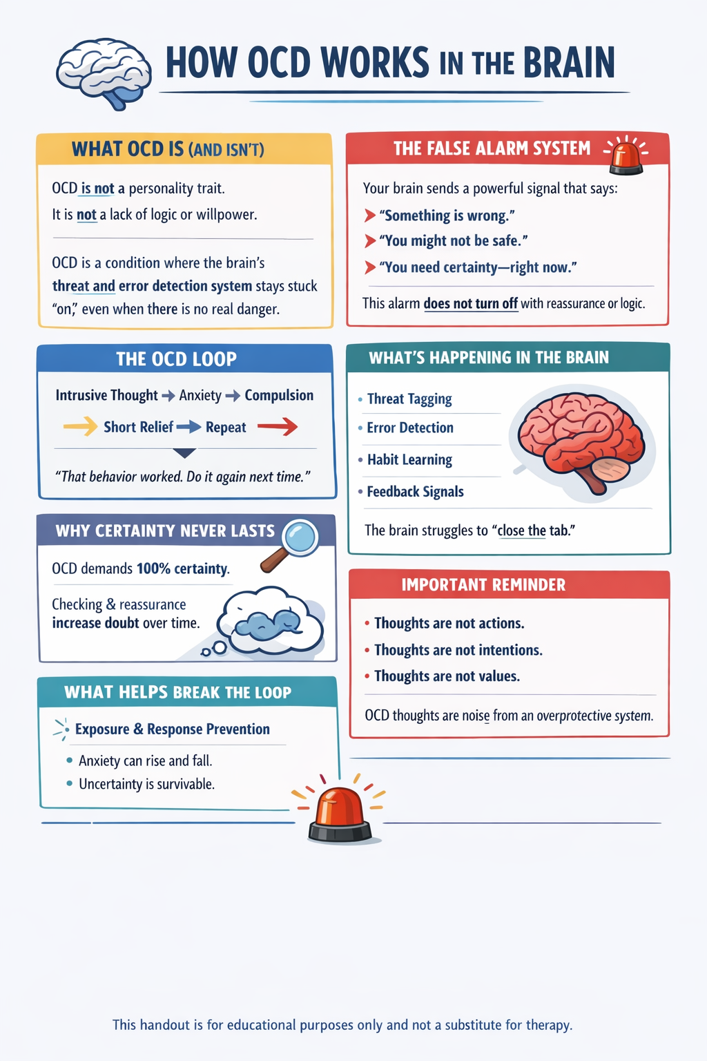Educational infographic explaining how OCD works in the brain, including common misconceptions, the OCD loop, brain activity, false alarm system, and ways to break the cycle.