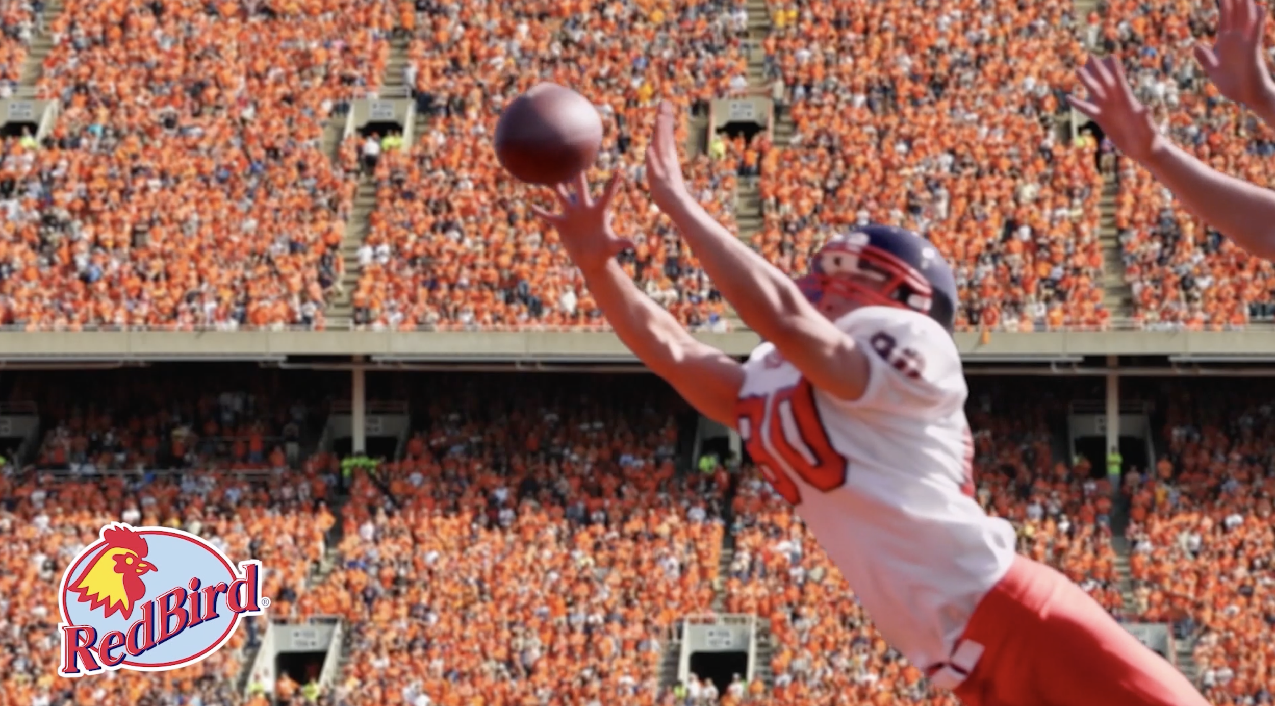 Screenshot 2026-03-01 at 10.41.03 PM.png