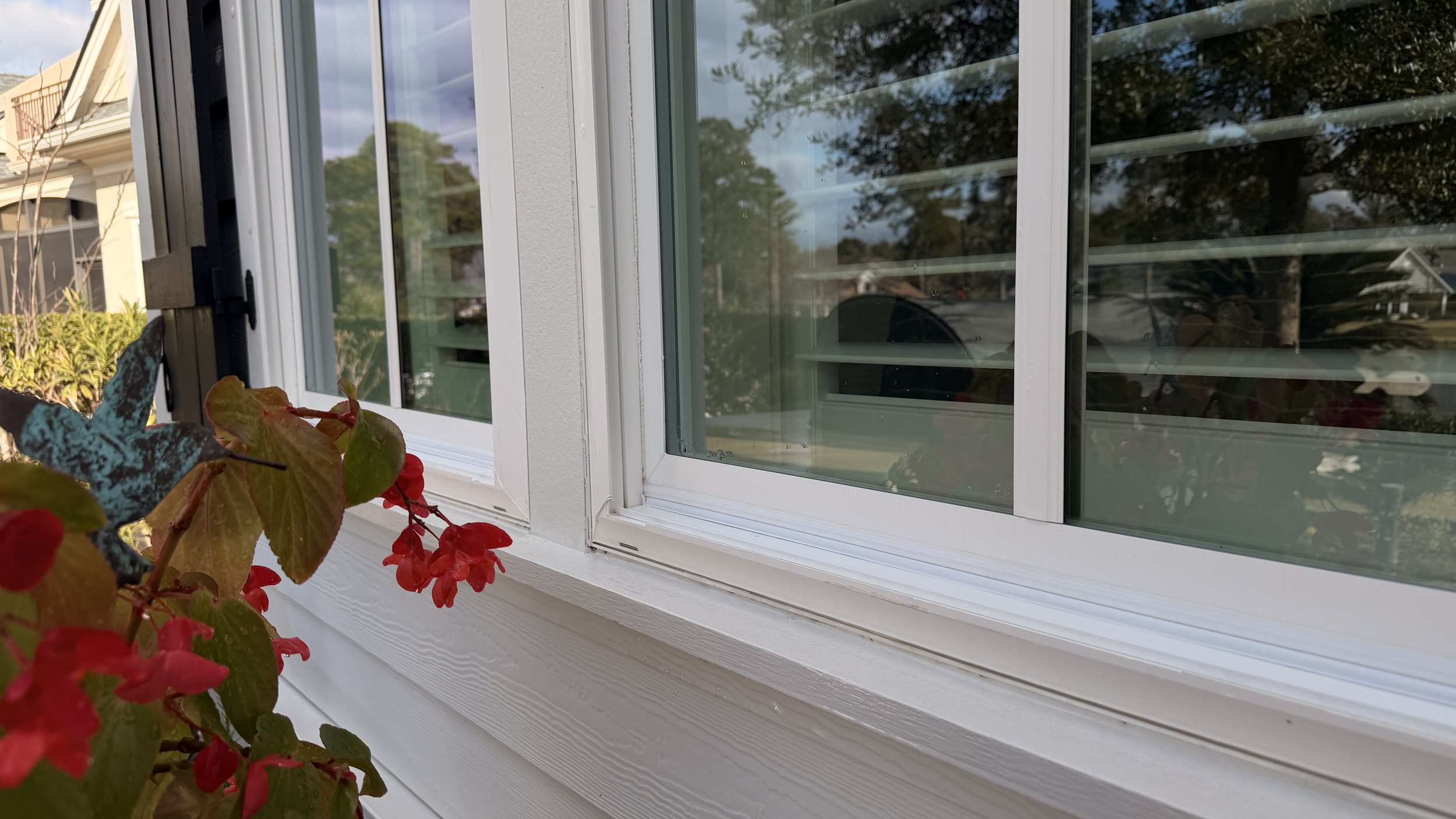 Close-up of a window with white frame and a flower box with red petunias outside