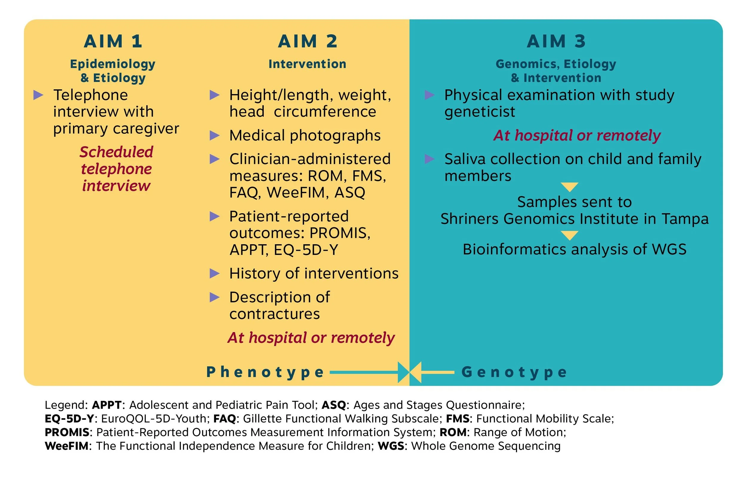 Flowchart of a study with three aims, including goal, methods, and procedures for each aim related to epidemiology, intervention, and genomics, with emphasis on at hospital or remotely data collection, and sample analysis.