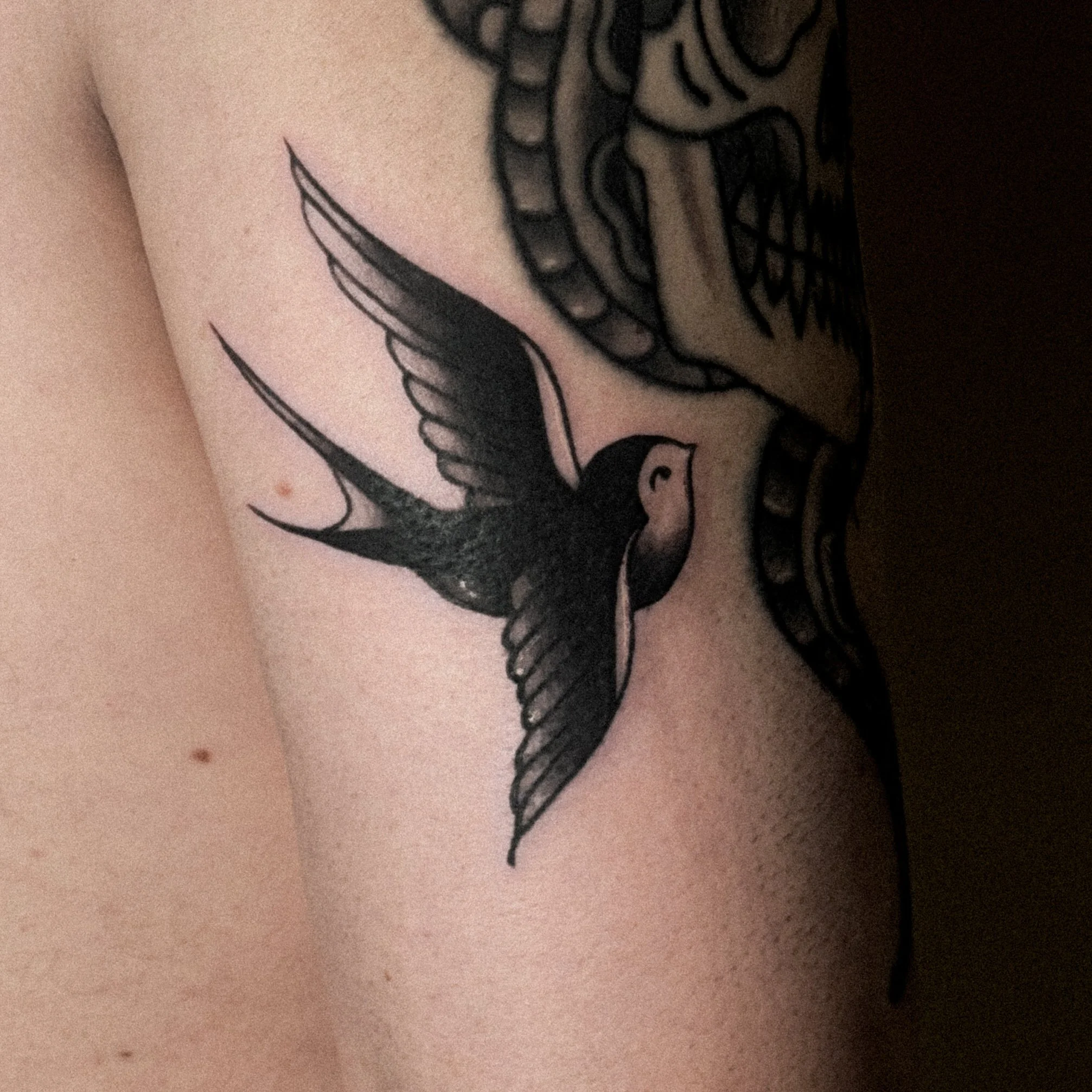Black and gray tattoo of a flying swallow on person's upper arm.