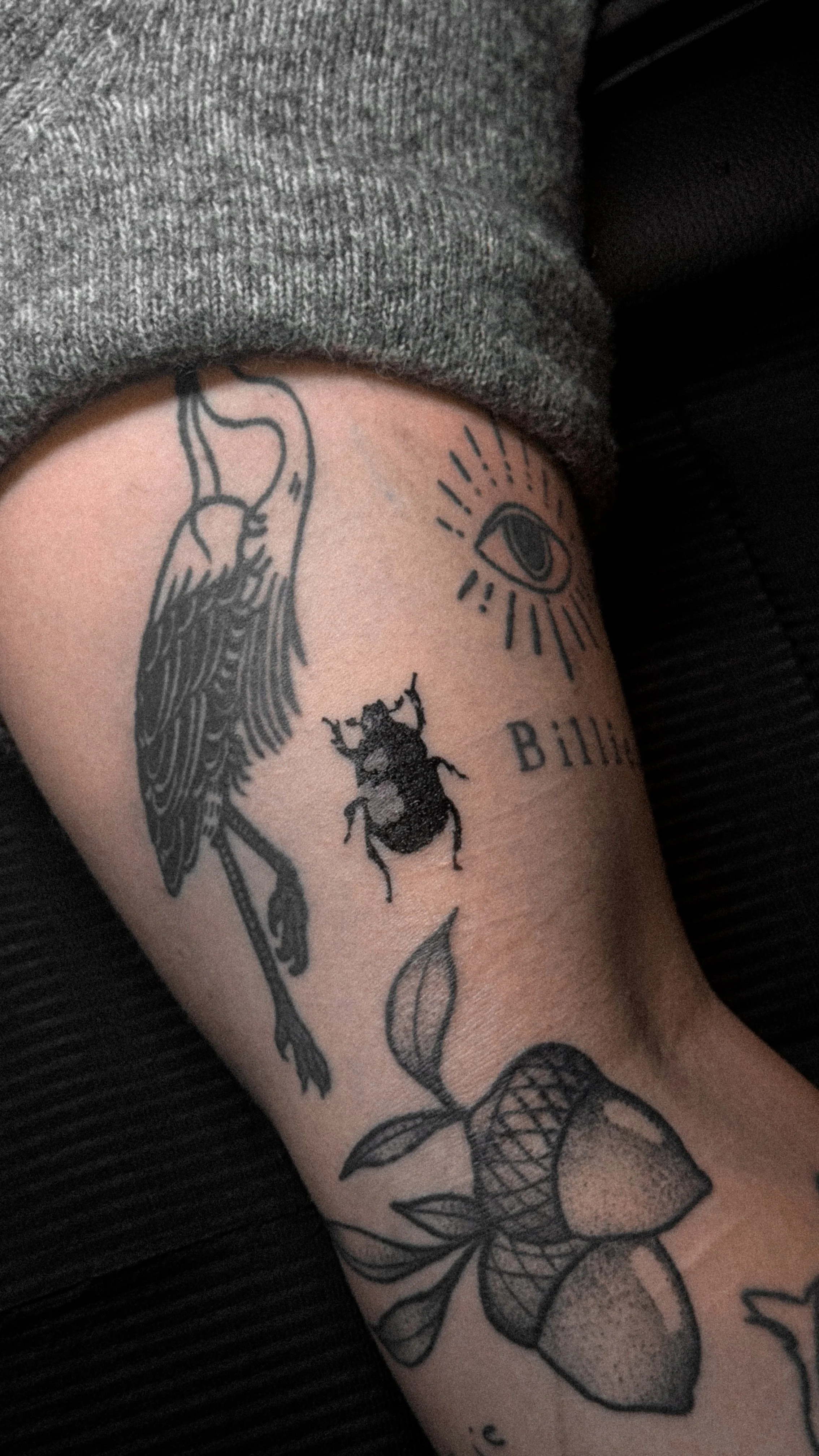 Tattoo on a person's arm featuring a bird with detailed feathers, a bee, an eye with rays around it, the word 'Bill', and an illustration of a fruit with leaves.