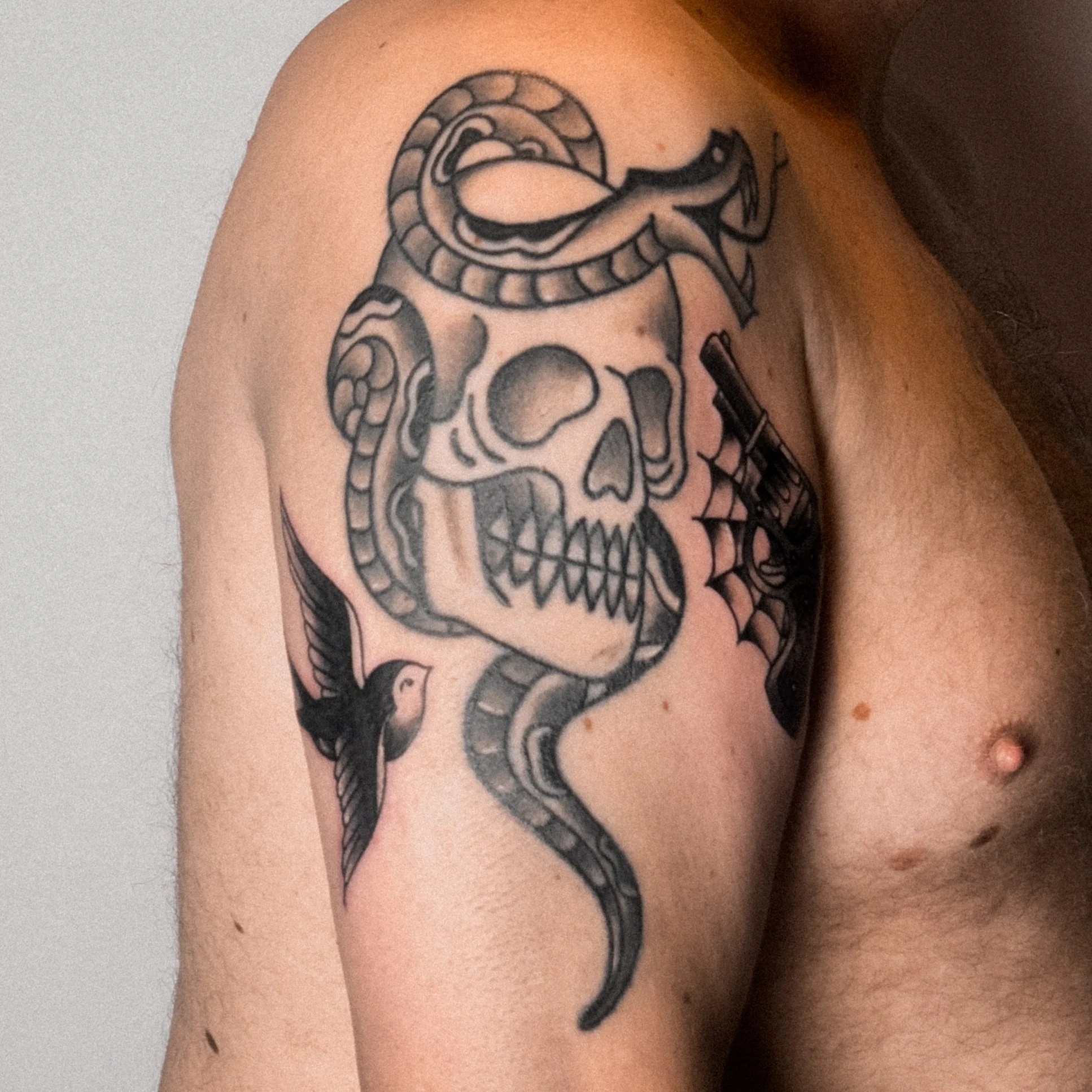 Tattoo of a skull with a snake around it and a spider web, accompanied by a flying bird.