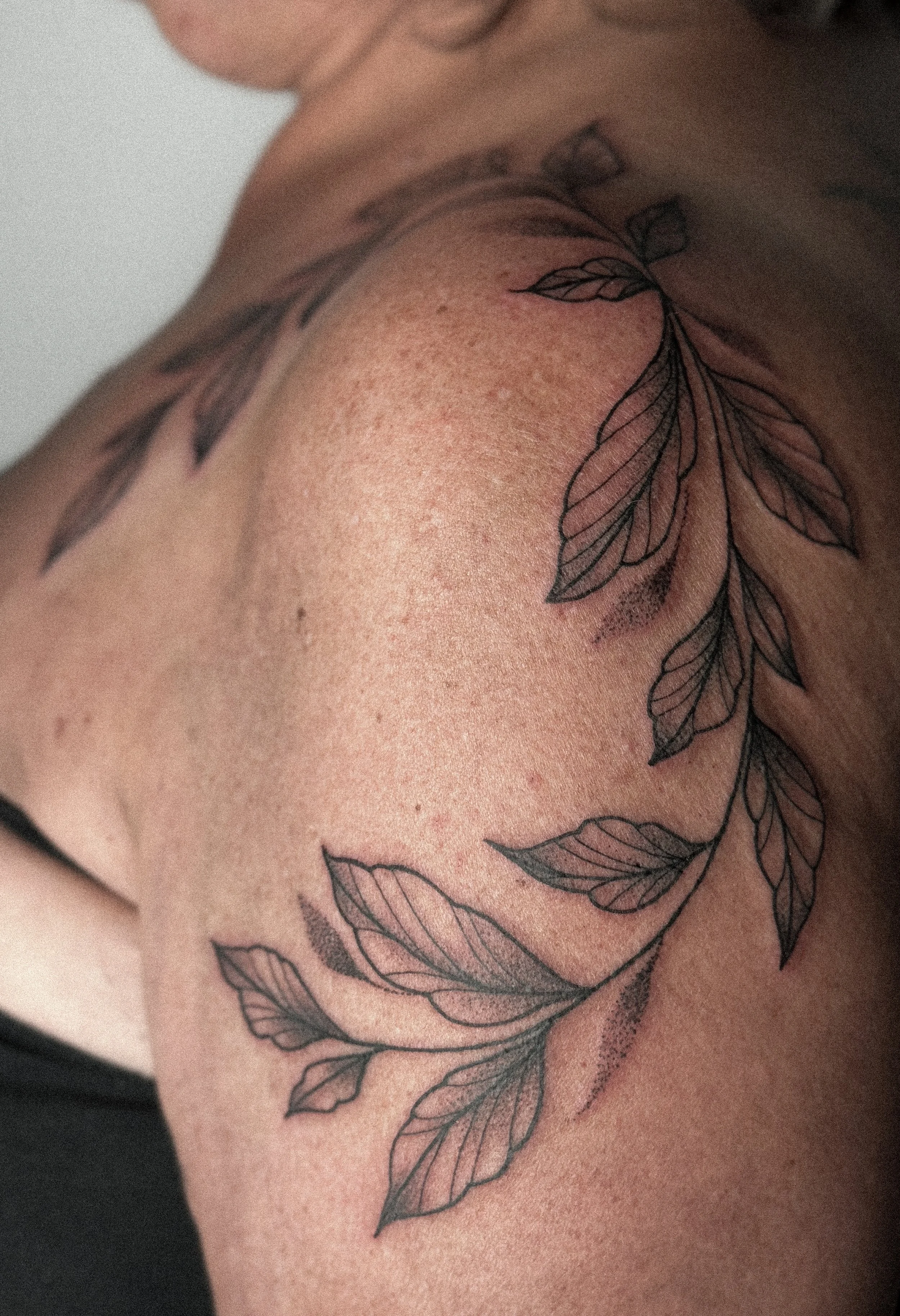 Close-up of a person's shoulder and upper arm with a black ink tattoo of leaves and branches.
