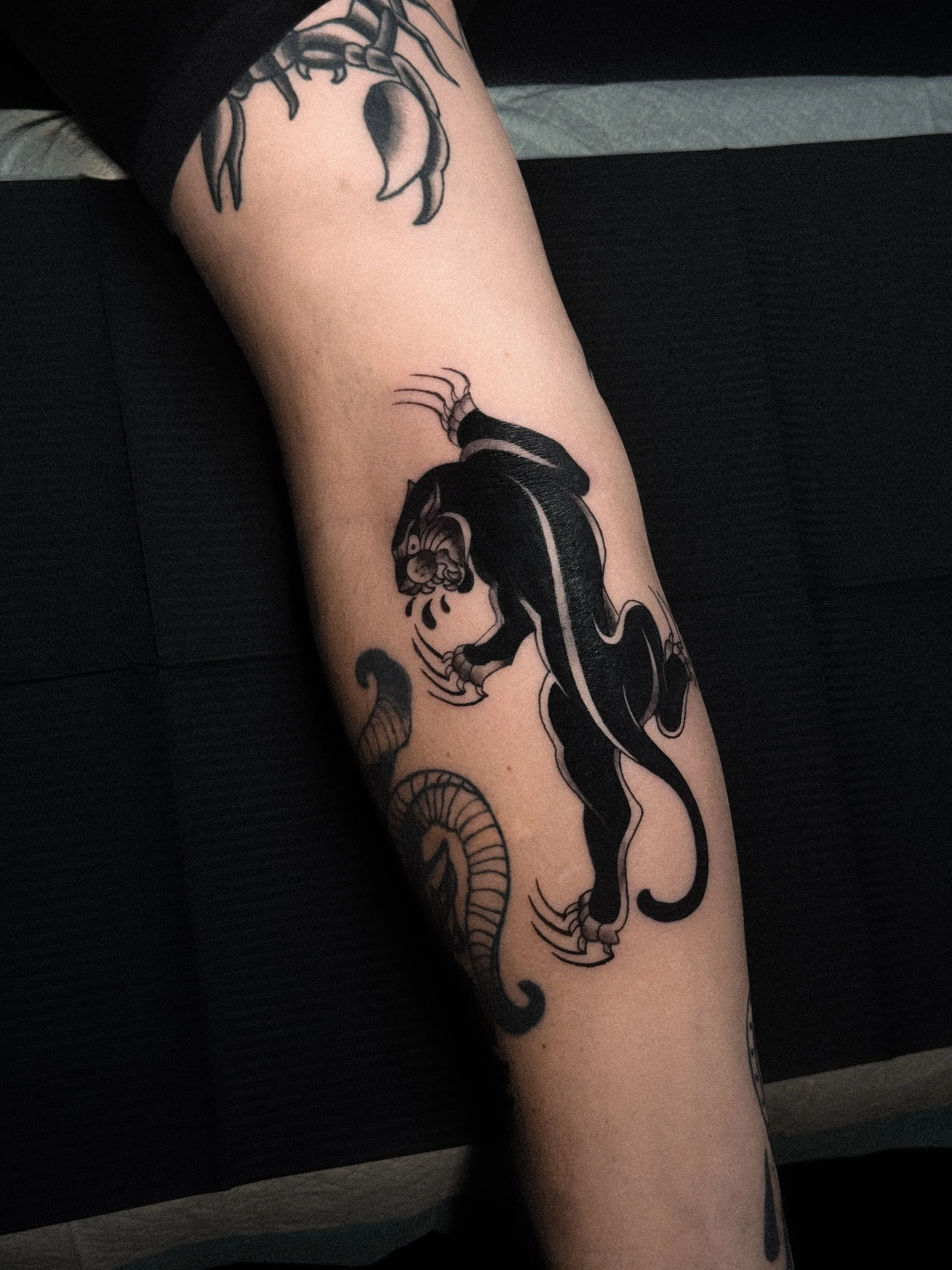 Tattoo of a panther with its mouth open and claws extended, depicted in black ink on a person's forearm, with a small part of a snake visible below.