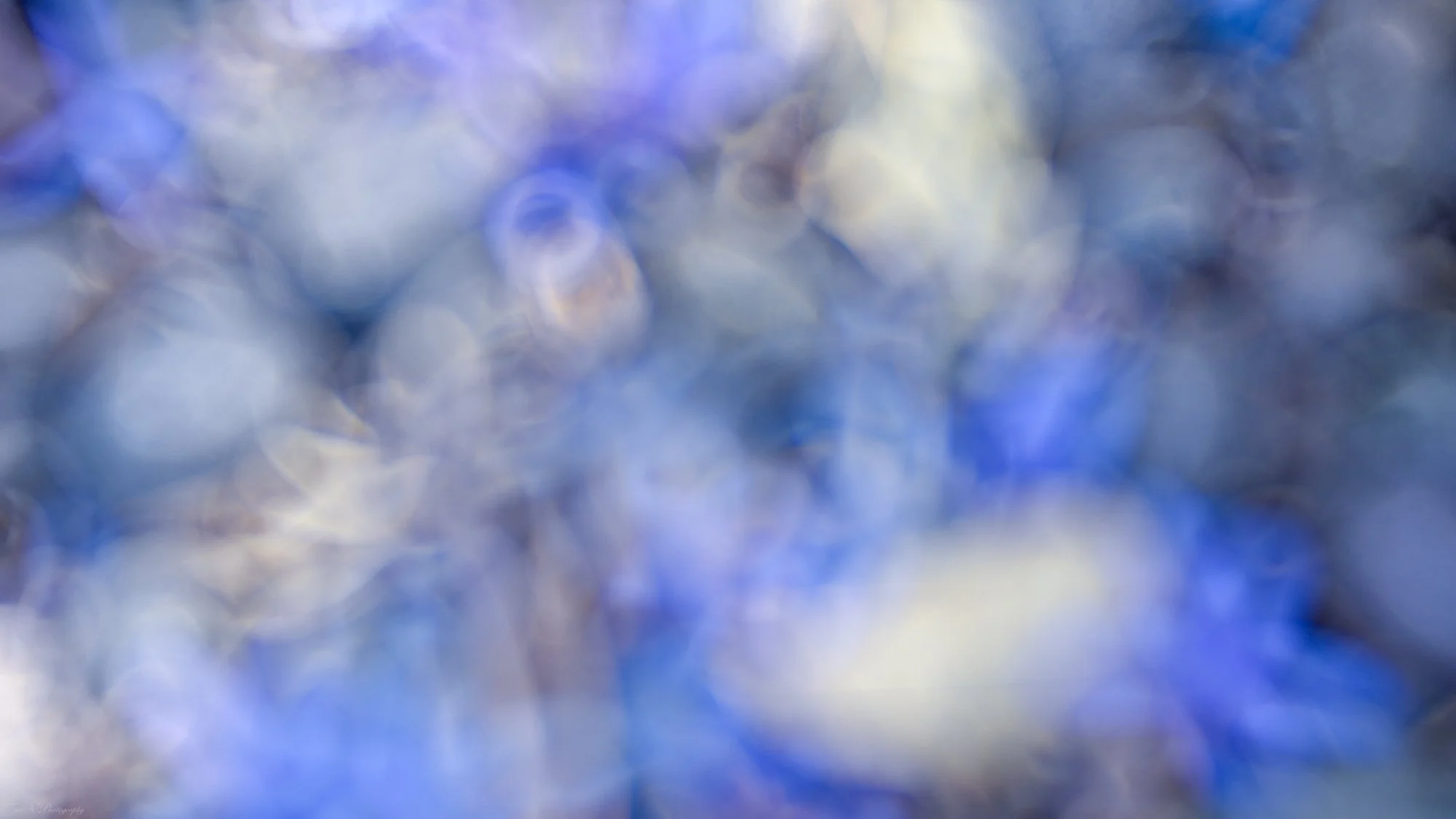 Abstract blurred lights in shades of blue, white, and purple.