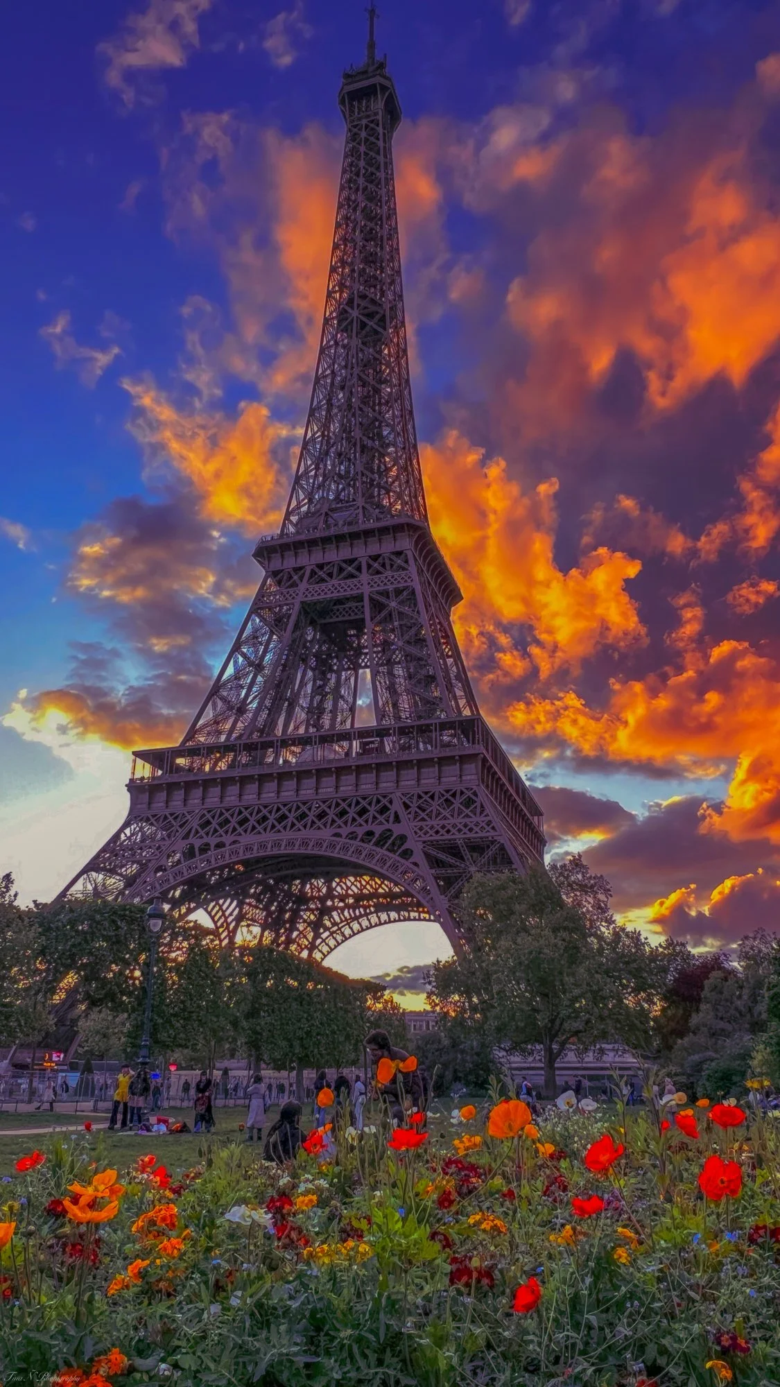 Paris is my dream! 