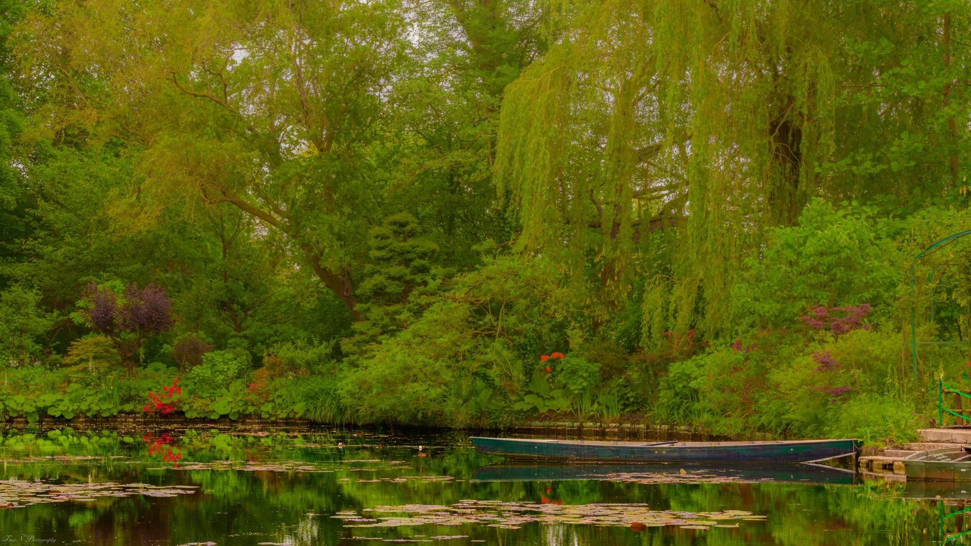 Giverny Monet's Garden.  peaceful pond surrounded by lush green trees and plants, with a small boat resting near the shore.
