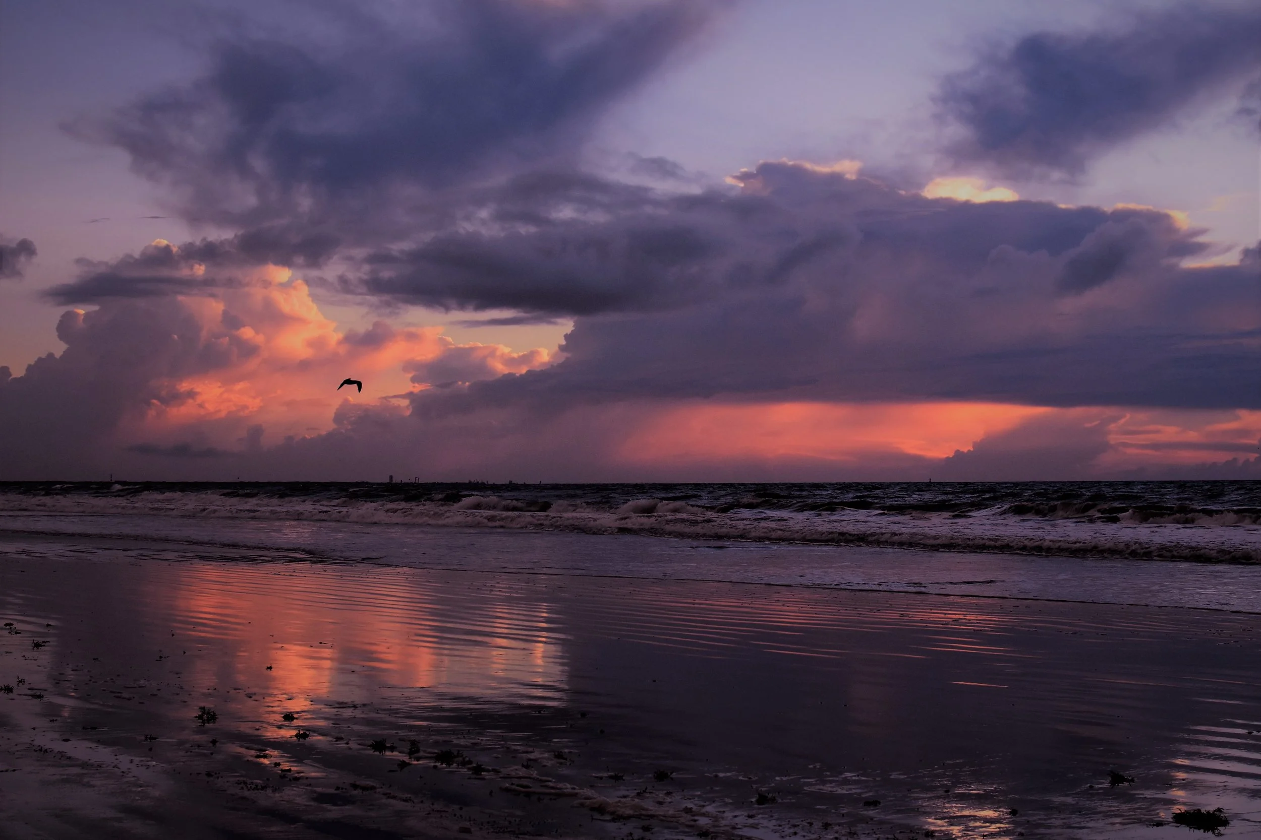 A beach scene at sunset with dark clouds, colorful pink and purple sky, and a bird flying over the ocean, reflecting in the water.