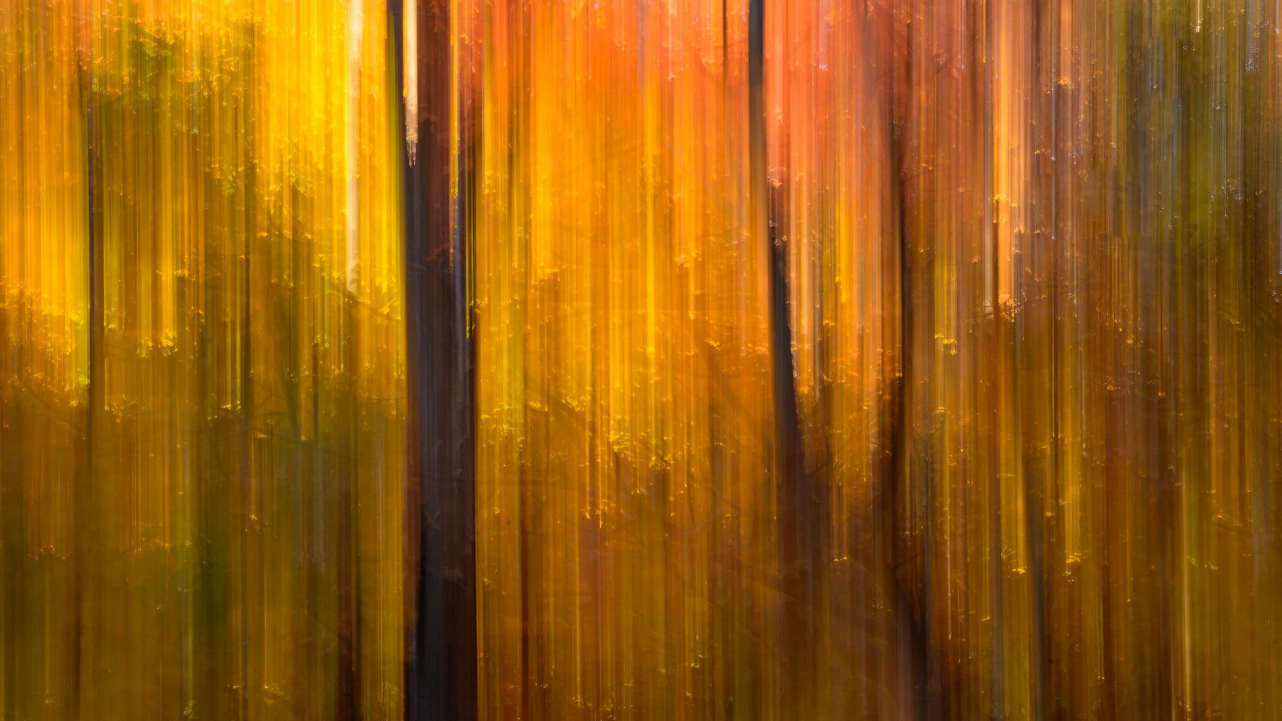 An abstract photograph of a forest with trees in warm autumn shades of yellow, orange, and brown, featuring intentional motion blur creating vertical streaks.