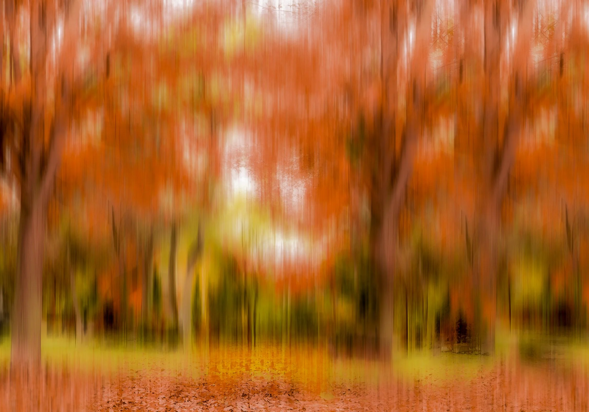 A blurred photo of a park with orange and red autumn trees, fallen leaves on the ground, and a path running through the scene.