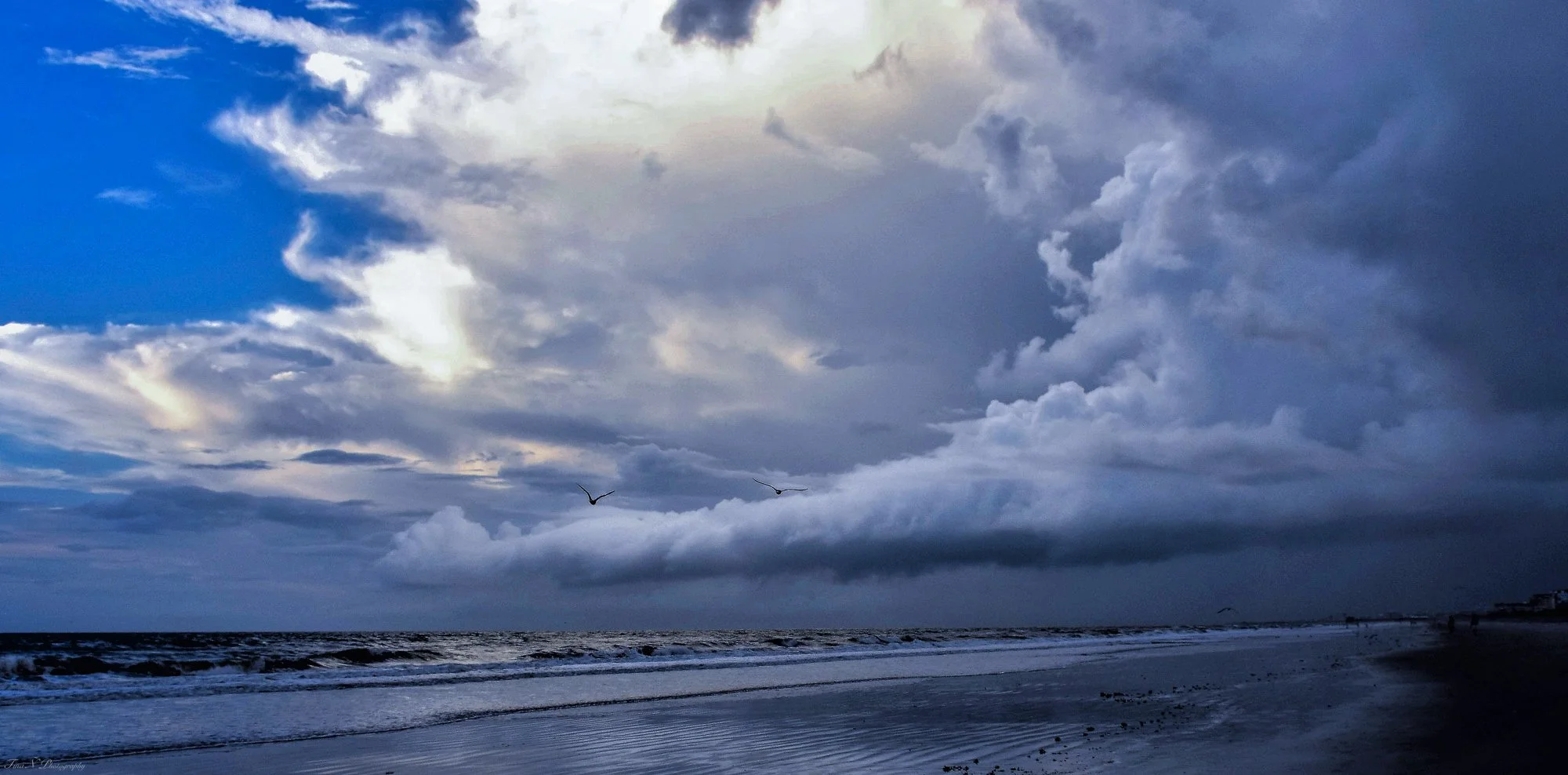 A cloudy storm in Florida. A beach scene with a cloudy sky, two seagulls flying above the ocean waves, and a shoreline extending into the distance.