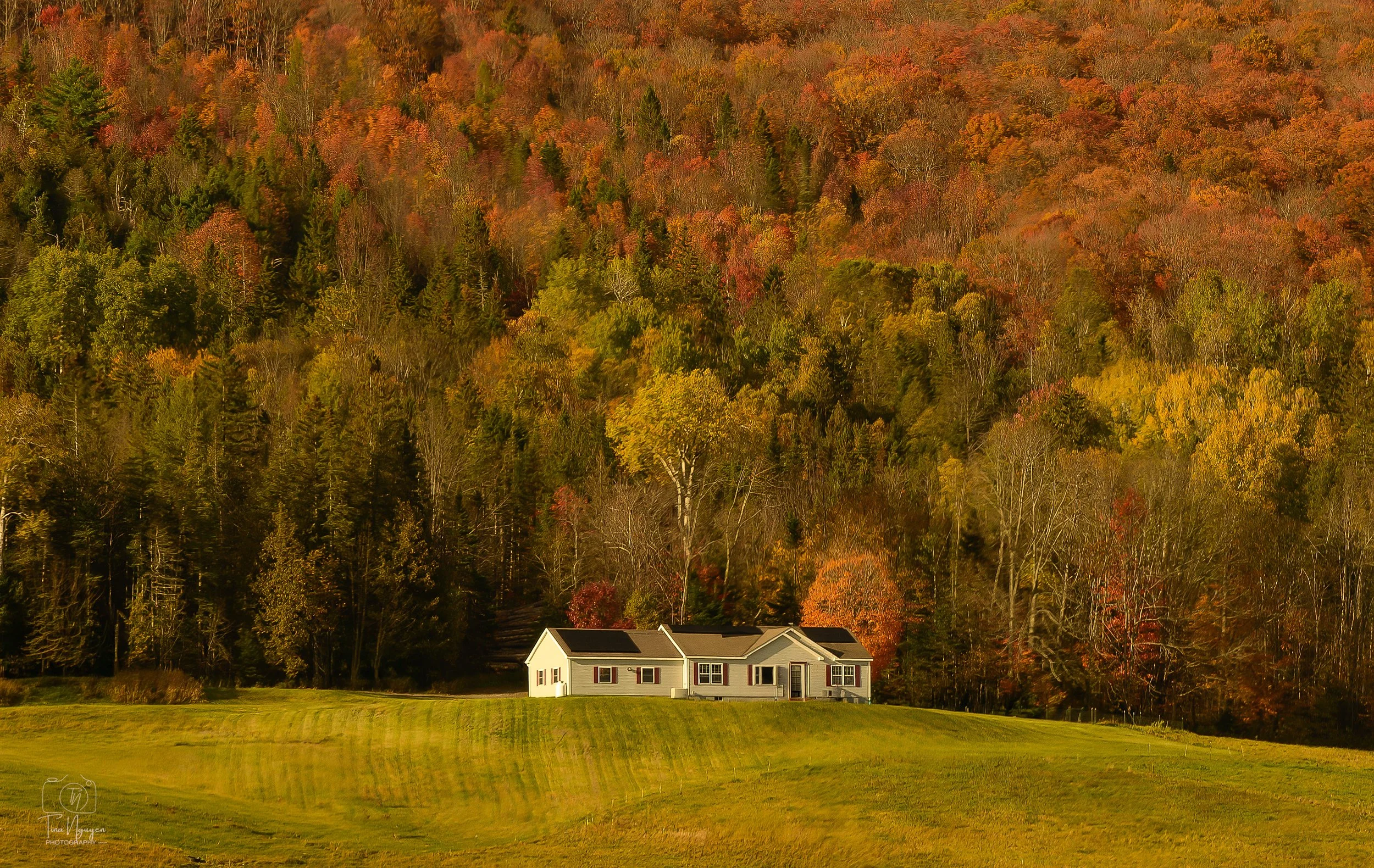 A white house with solar panels on the roof situated at the edge of a vibrant autumn forest with trees in red, orange, yellow, and green hues.
