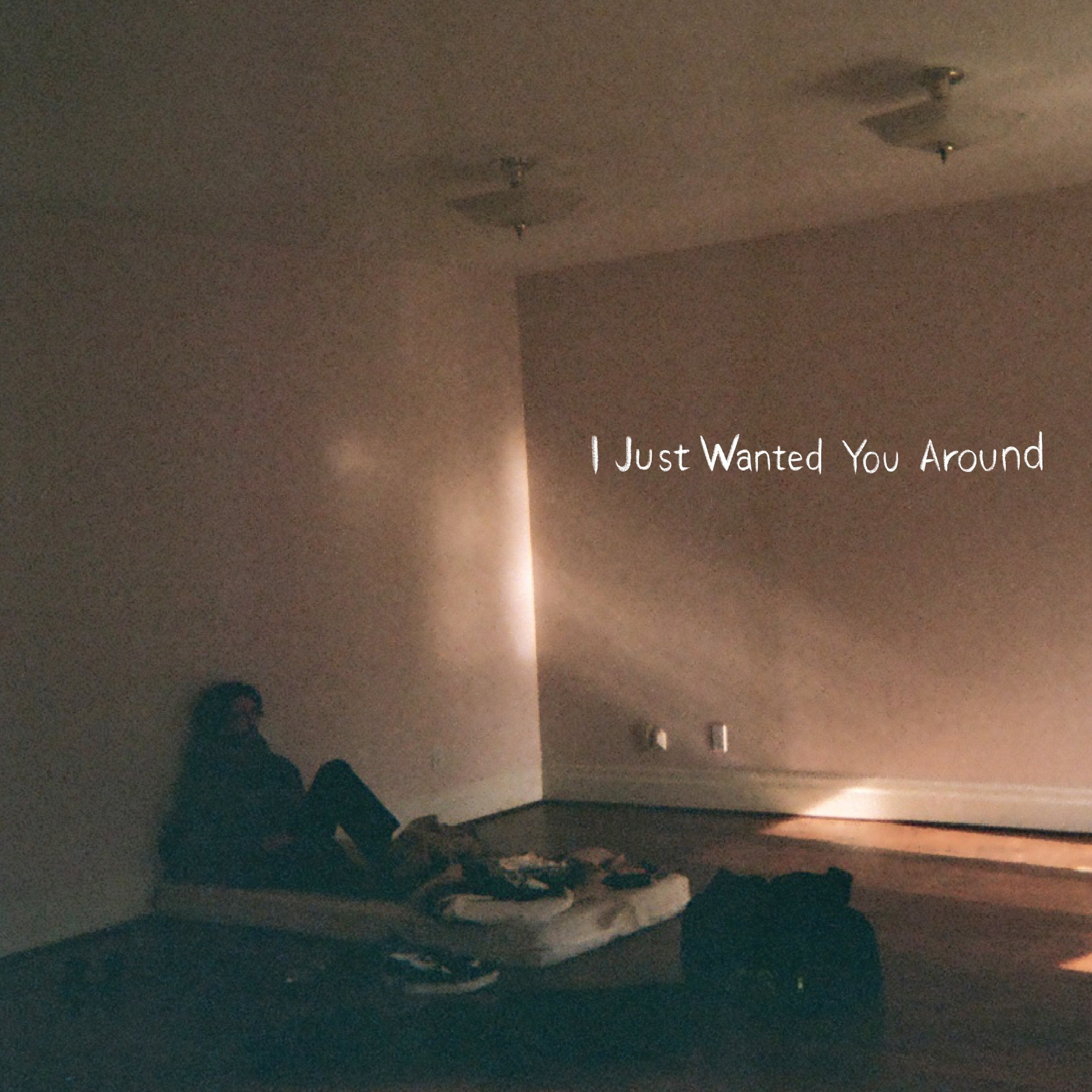 I Just Wanted You Around