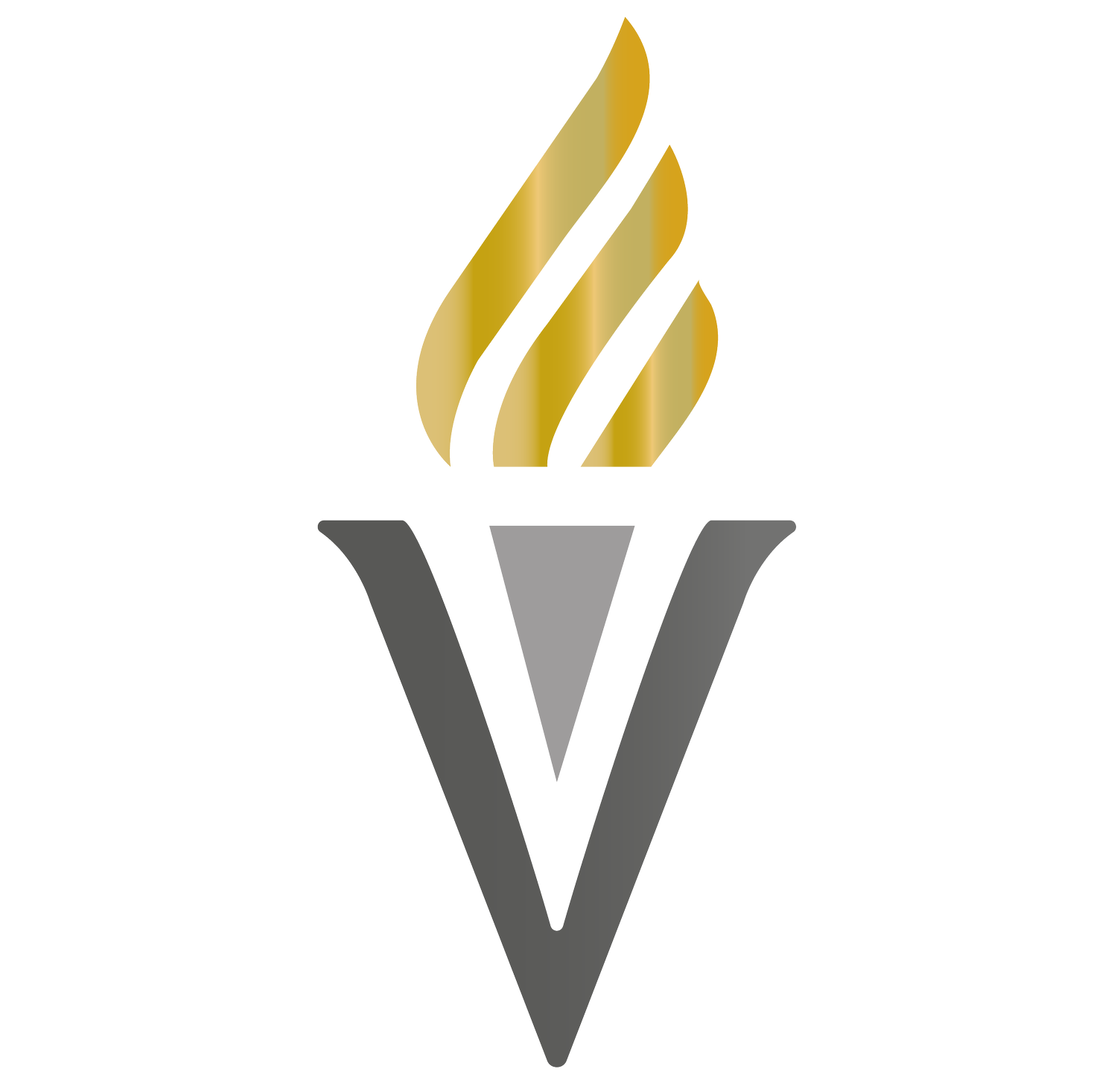 VIRTUS / Excelencia Financiera